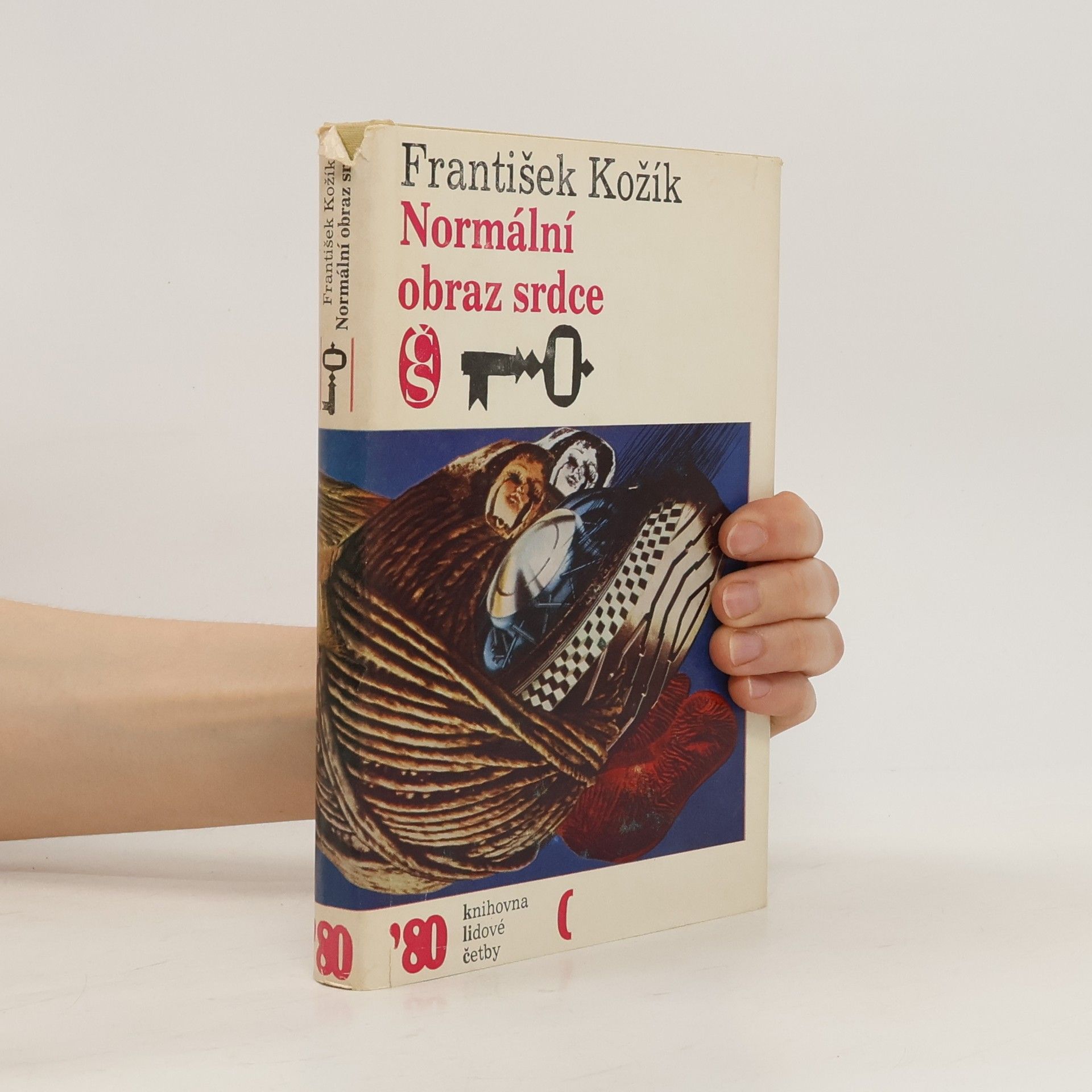 František Kožík Normální obraz srdce