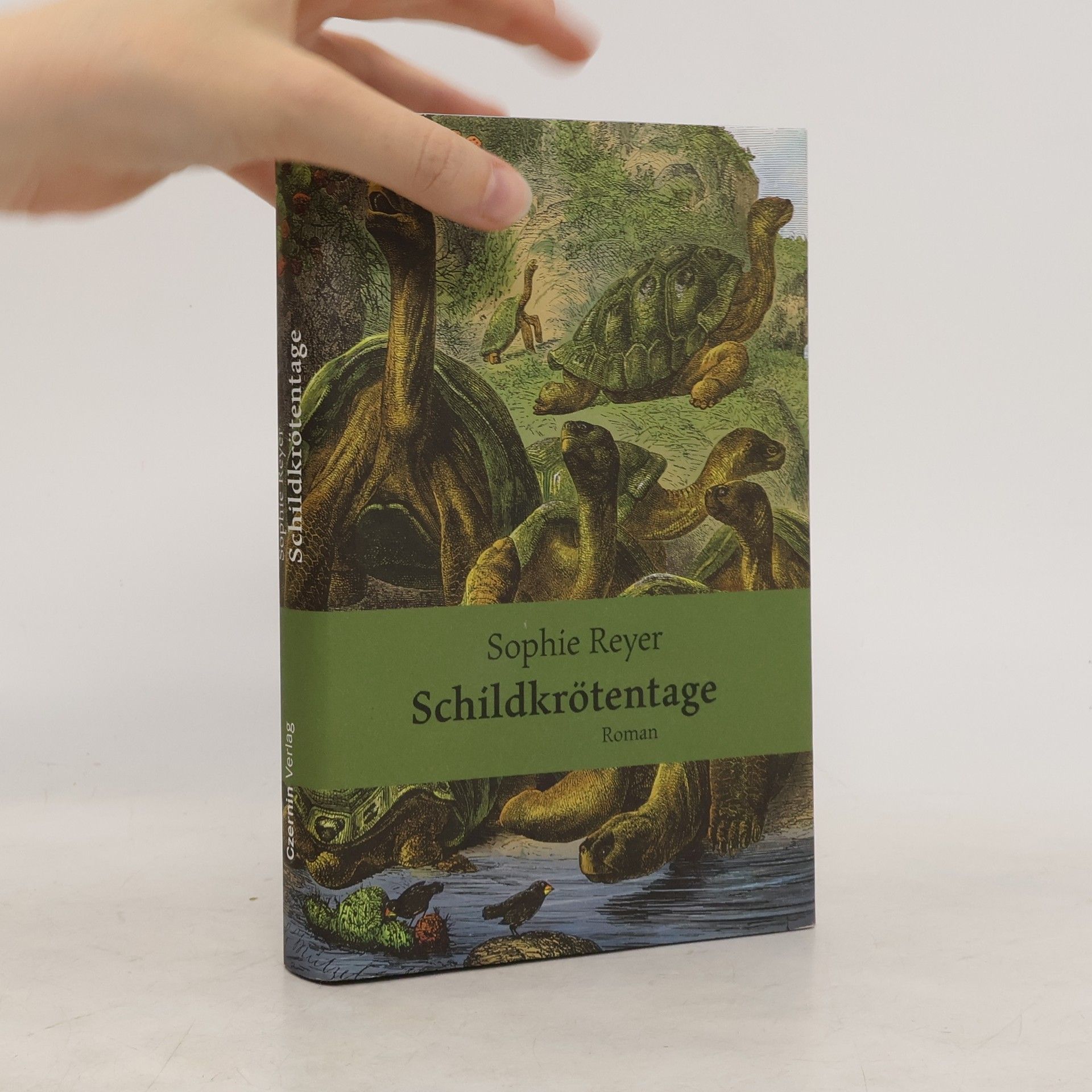 Sophie Reyer Schildkrötentage