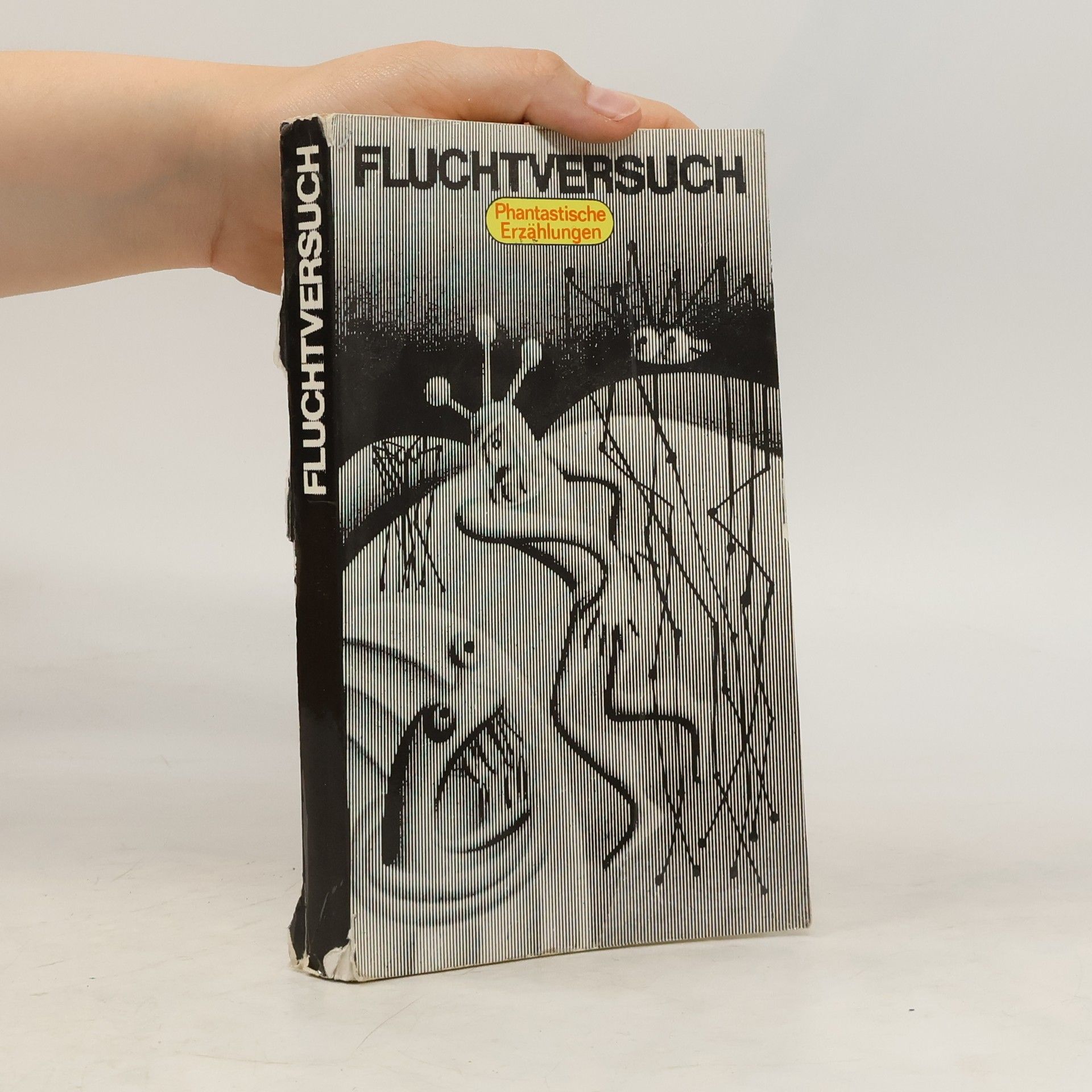 Hannelore Menke Fluchtversuch