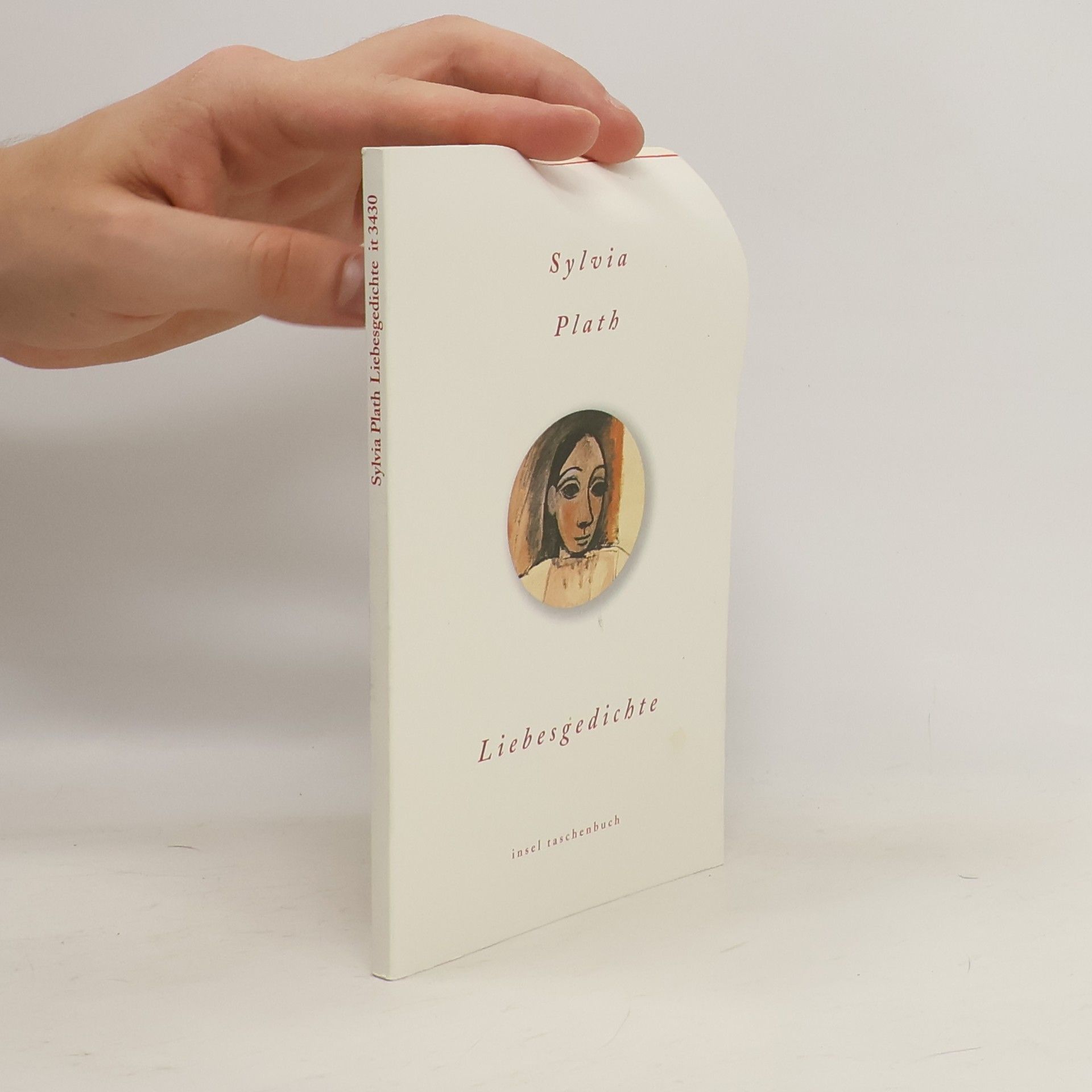 Sylvia Plath Liebesgedichte