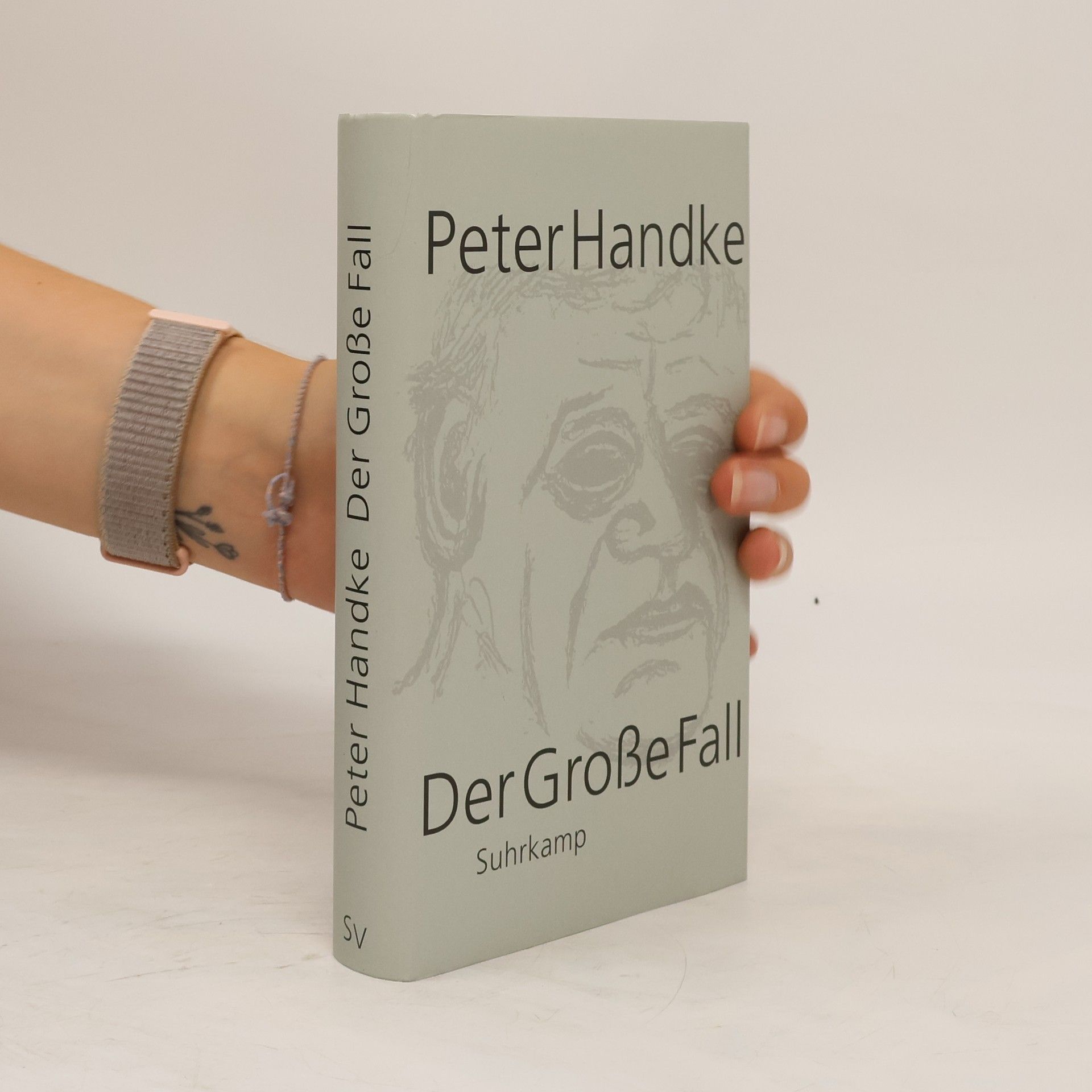 Peter Handke Der Grosse Fall