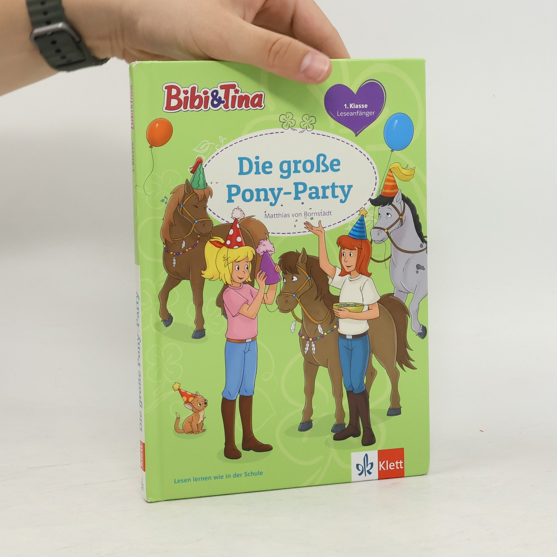 Matthias von Bornstädt Die große Pony-Party