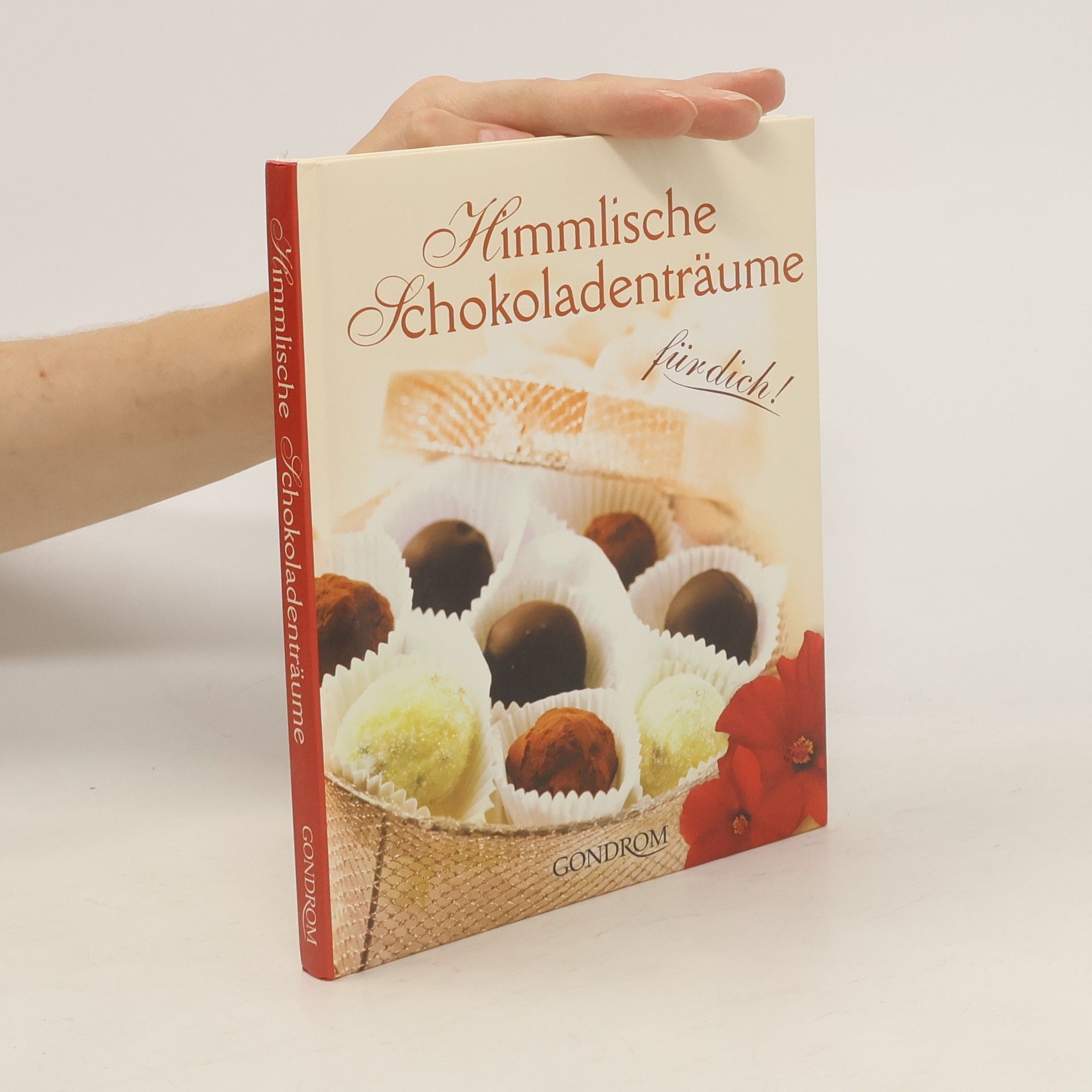 Autores varios Himmlische Schokoladenträume für dich!