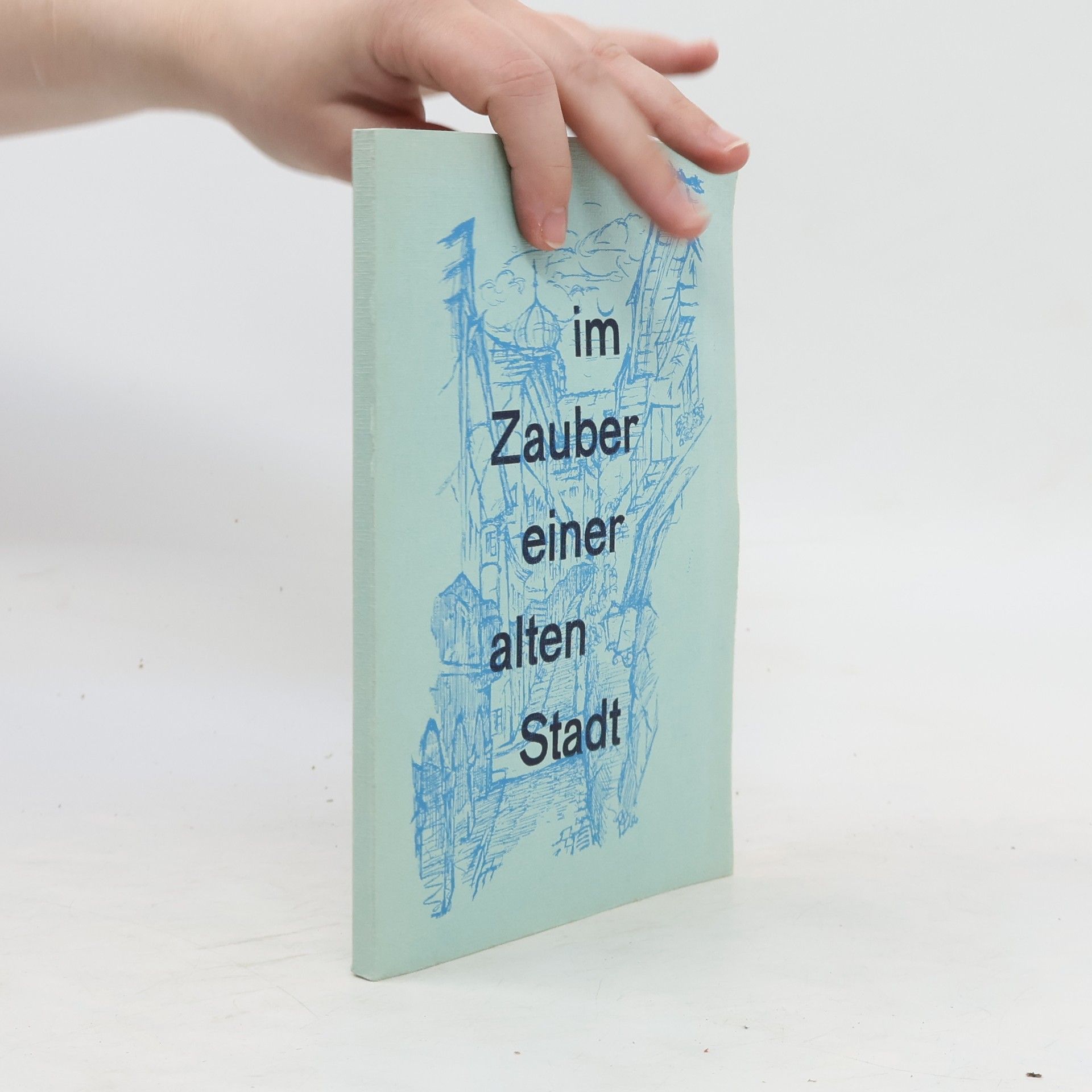 Reinhard Brunner Im Zauber einer alten Stadt