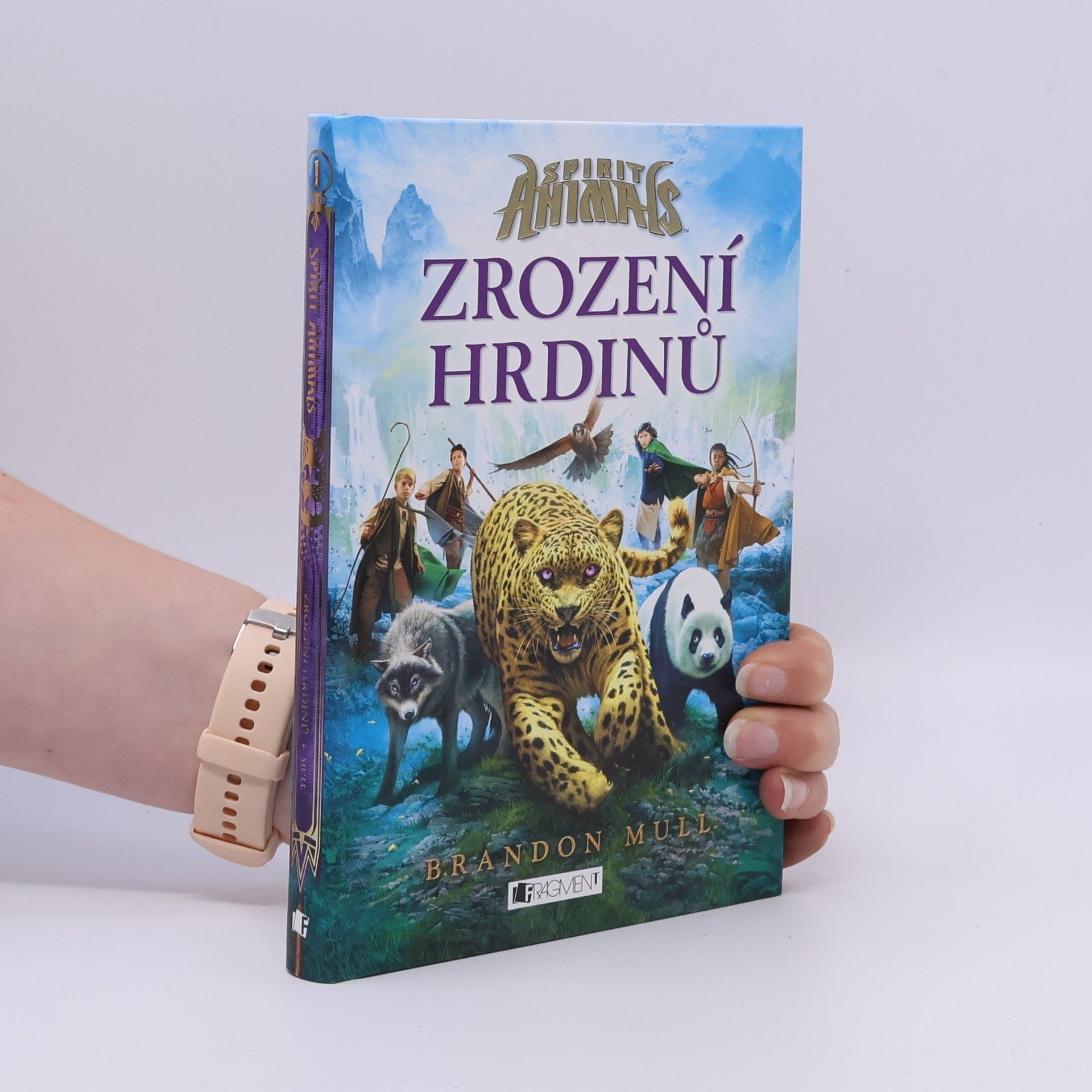 Brandon Mull Zrození hrdinů