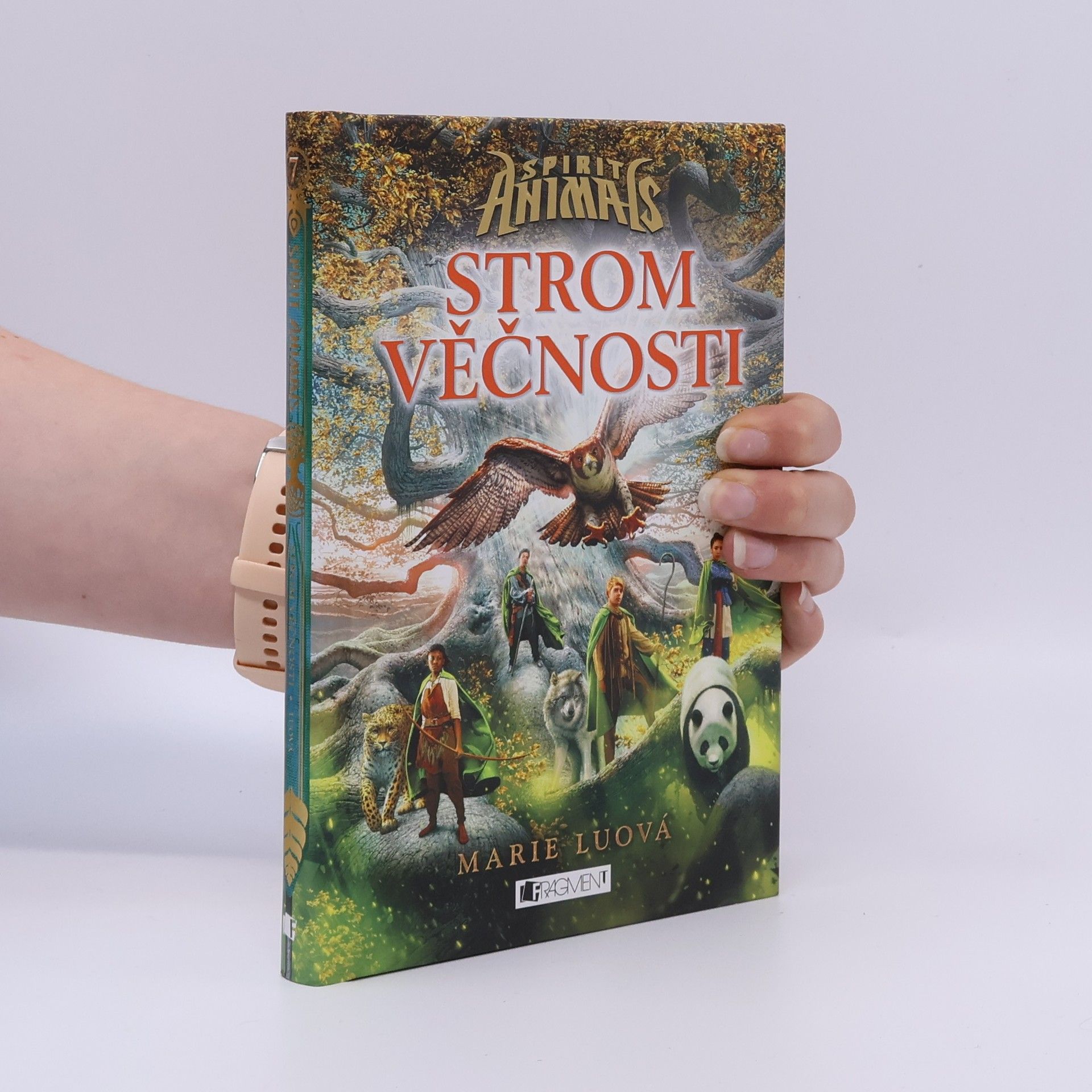 Marie Lu Strom věčnosti