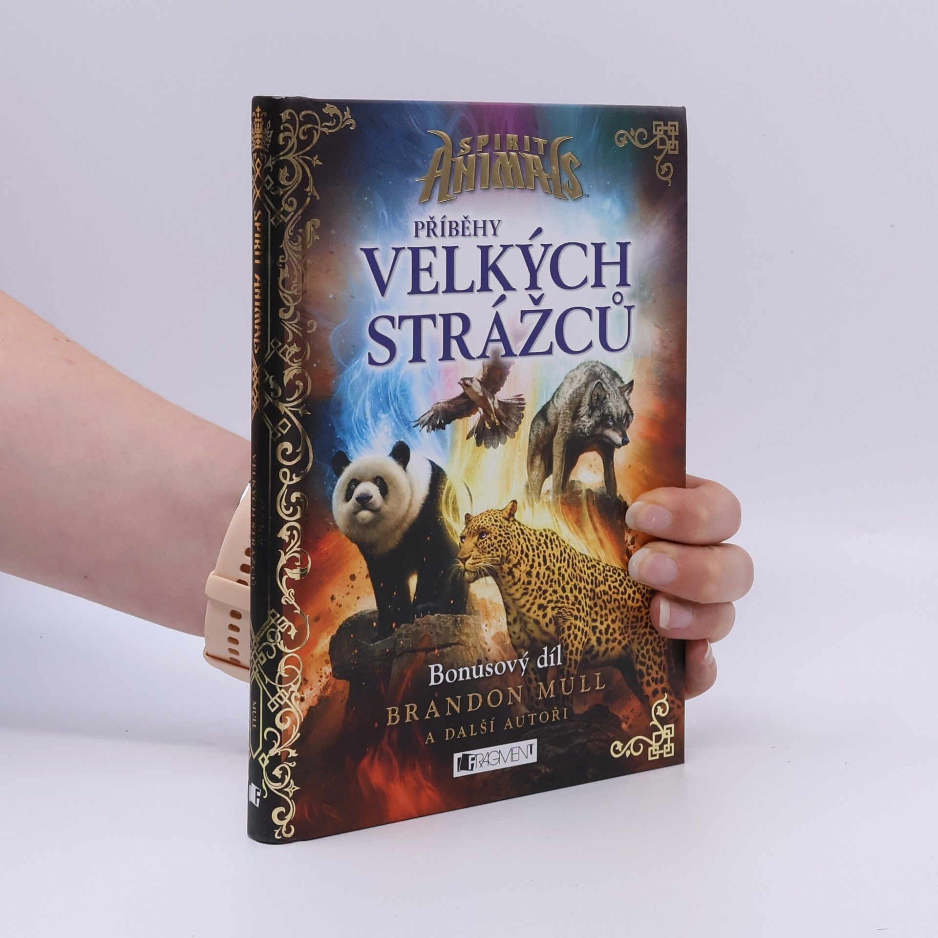 Brandon Mull Příběhy Velkých strážců