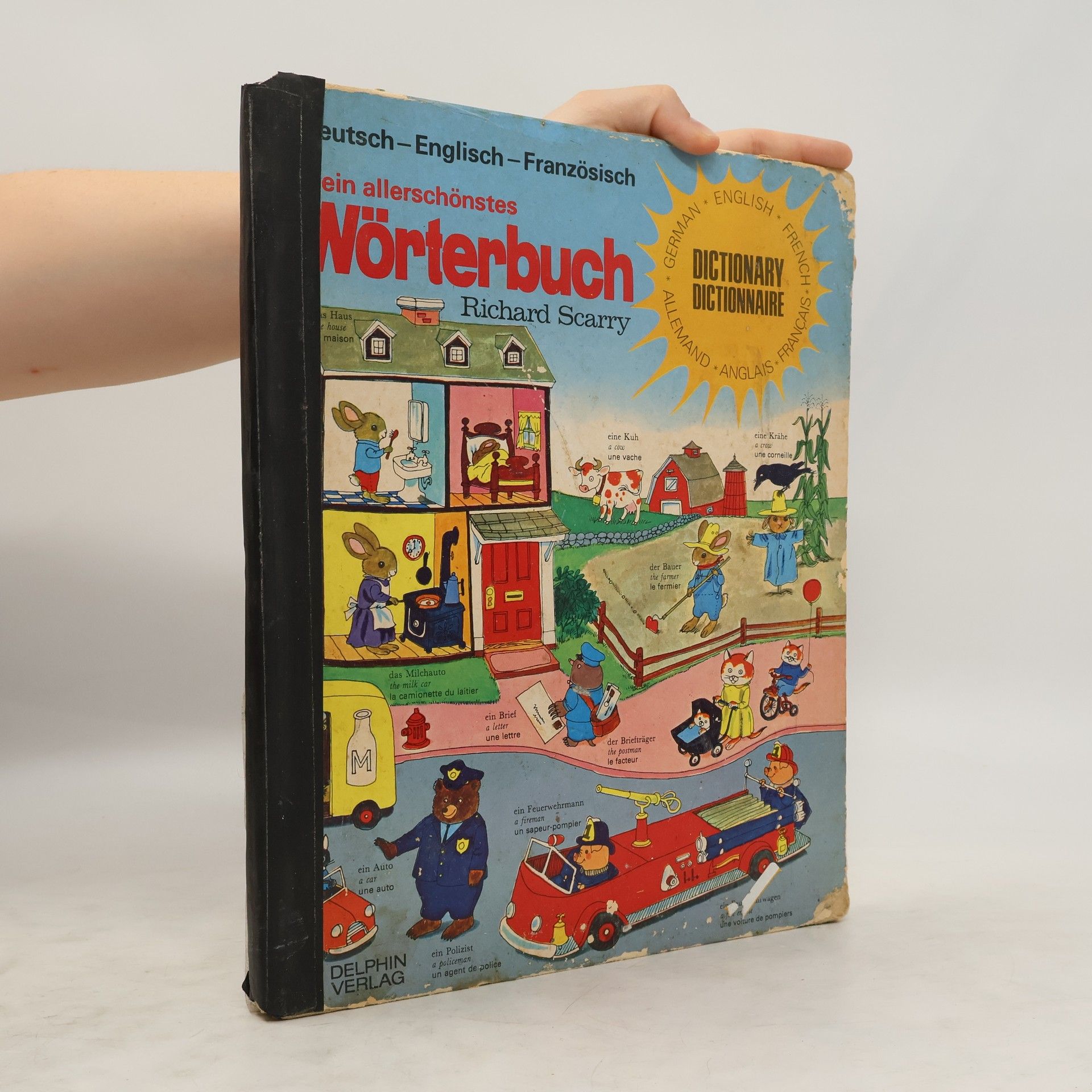 Collectif d'auteurs Mein allerschönstes Wörterbuch - mit mehr als 1200 bunten Zeichnungen und Wörten - Deutsch, English, Französisch