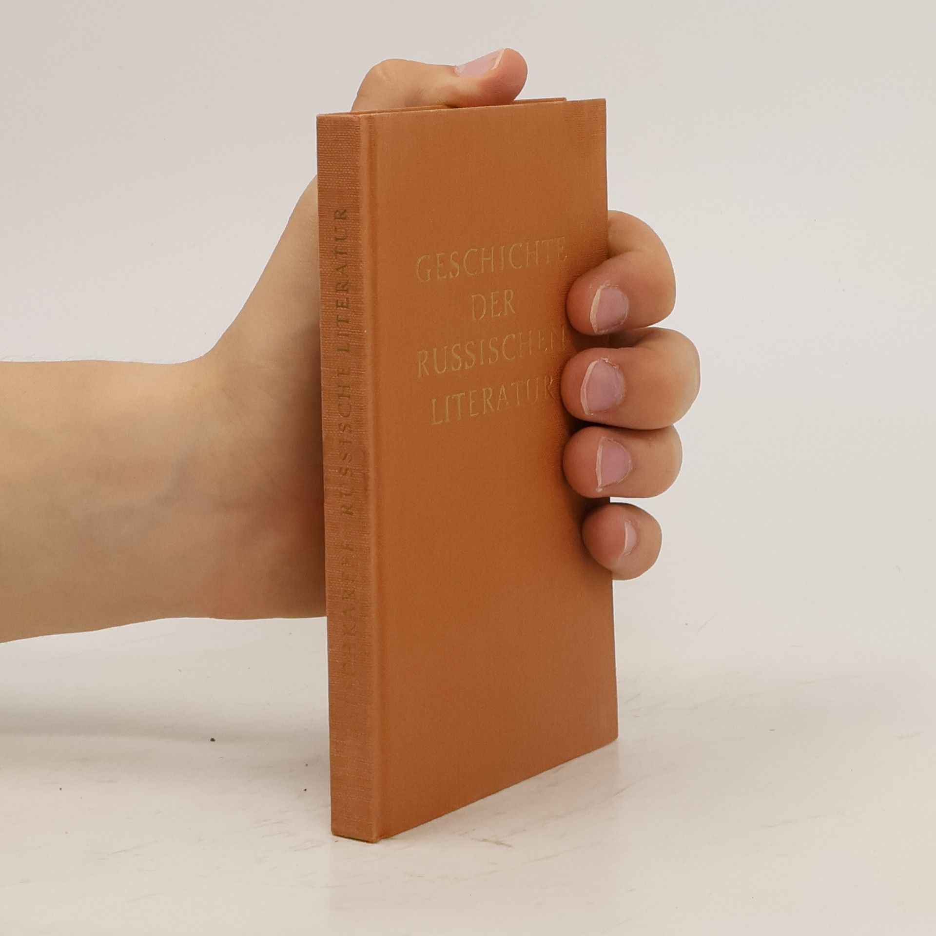 Kolektiv autorů Geschichte der russischen literatur