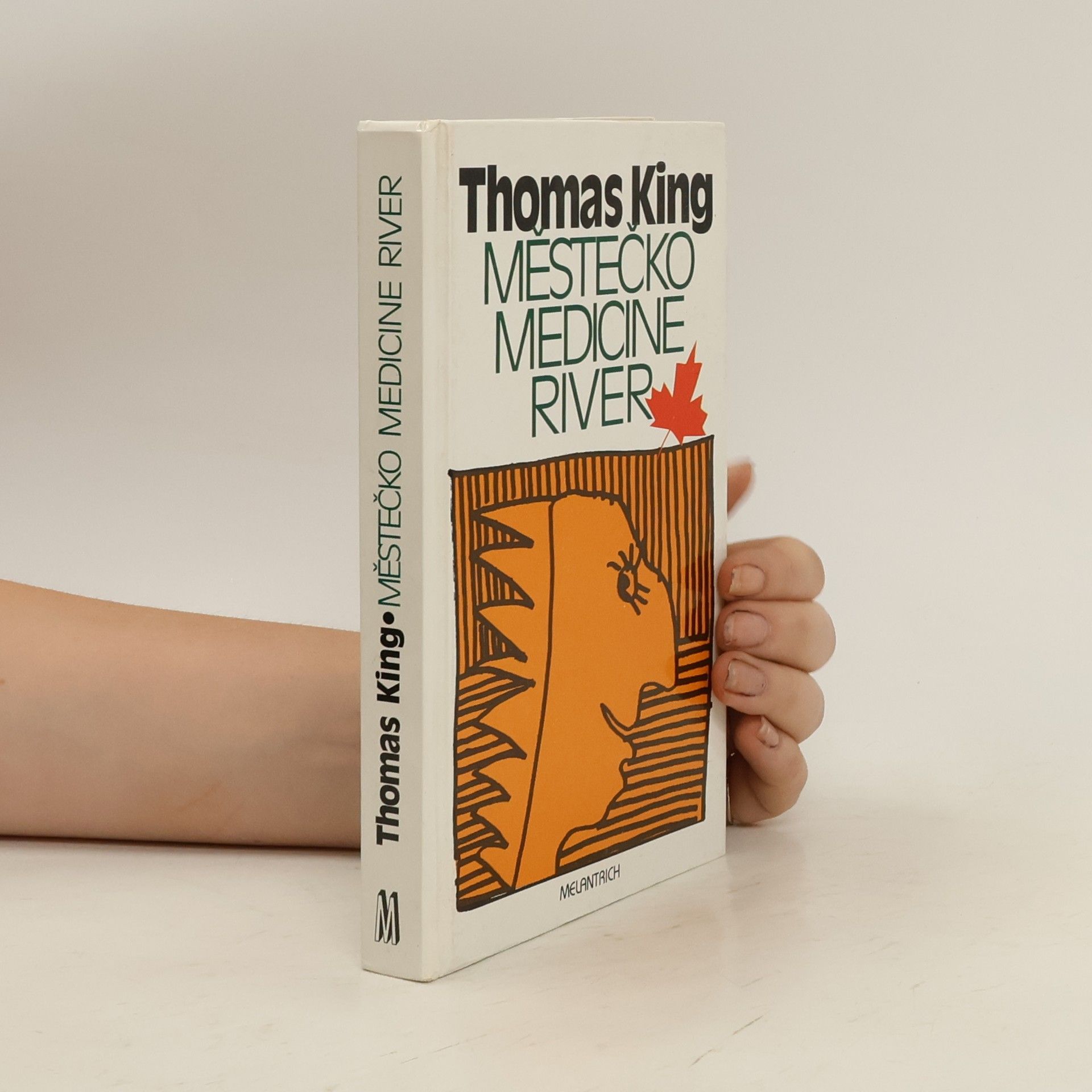 Thomas King Městečko Medicine River