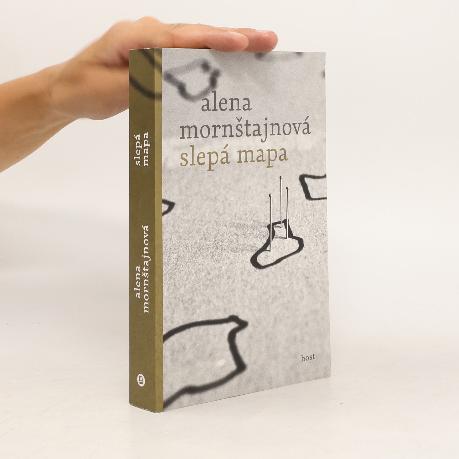 Alena Mornštajnová Slepá mapa