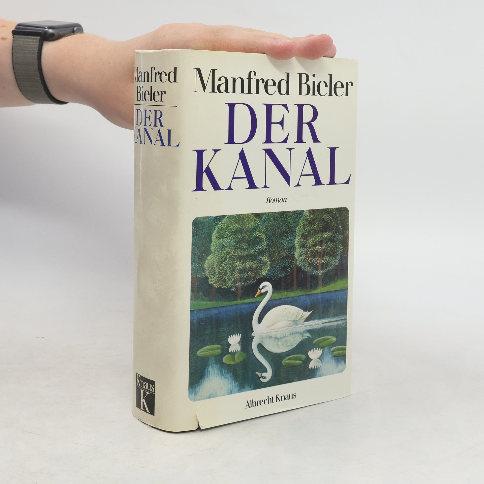 Manfred Bieler Der Kanal