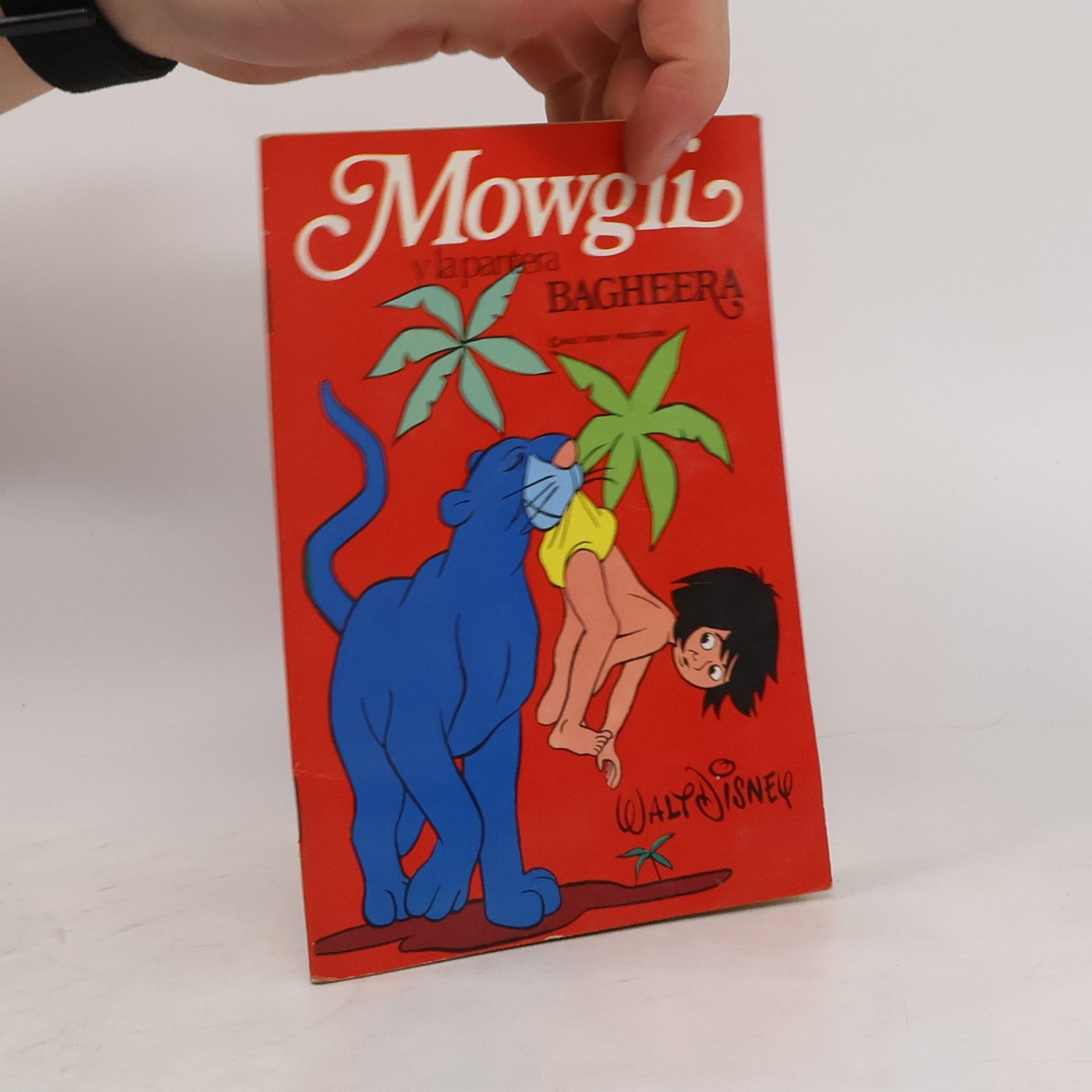 Collective Mowgli y la pantera Bagheera