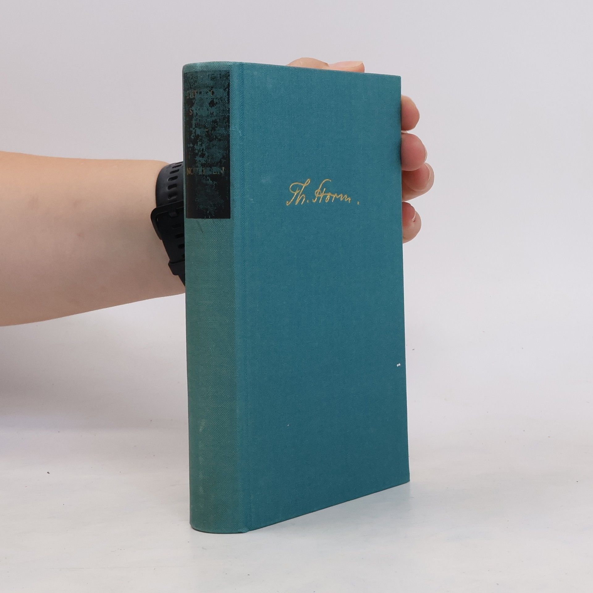 Theodor Strom Werke, Novellen II. Band