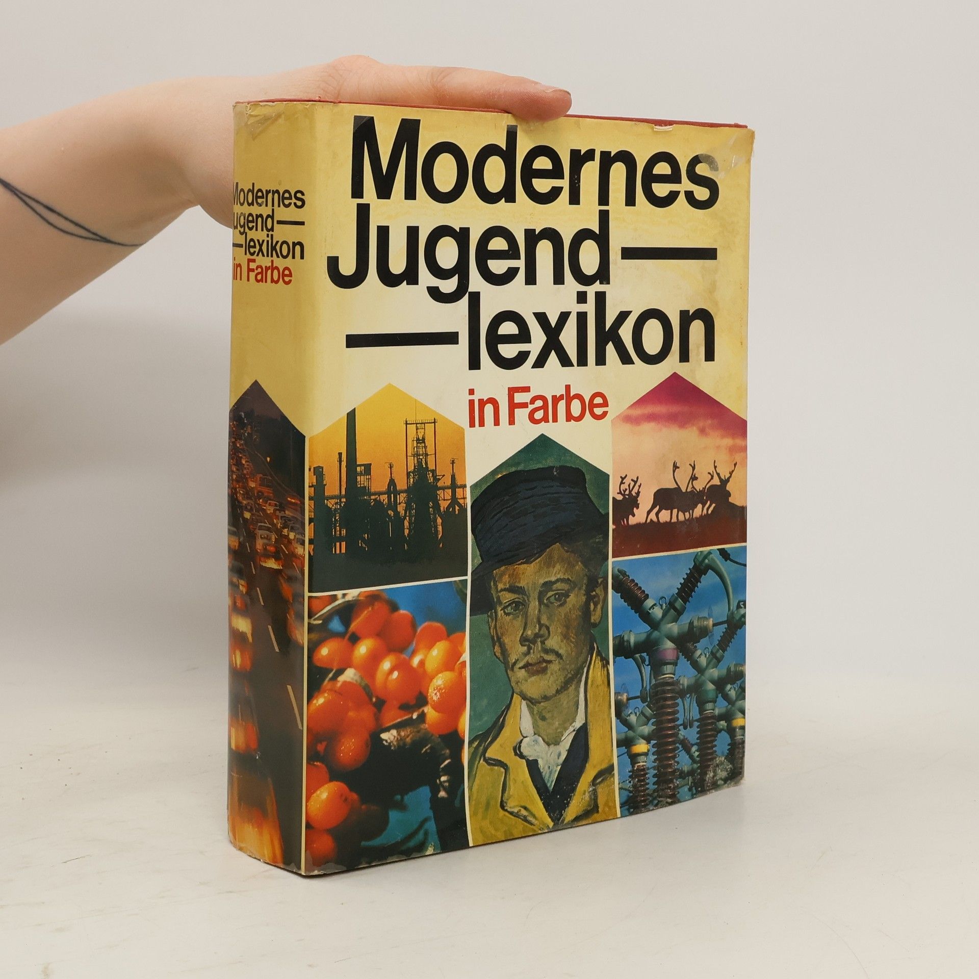 Kolektív autorov Modernes Jugendlexikon in Farbe