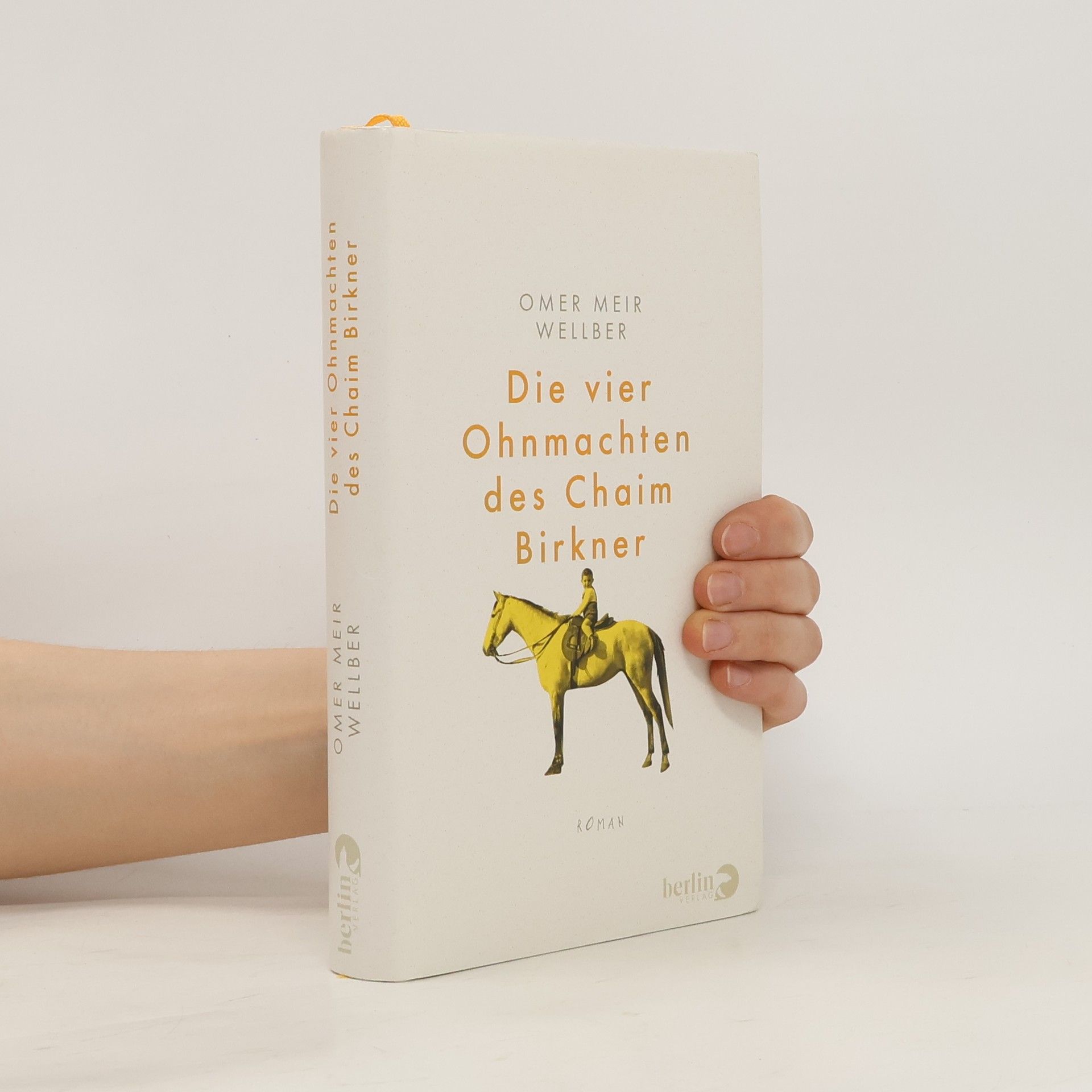 ʿOmer Meʾir Ṿelber Die vier Ohnmachten des Chaim Birkner