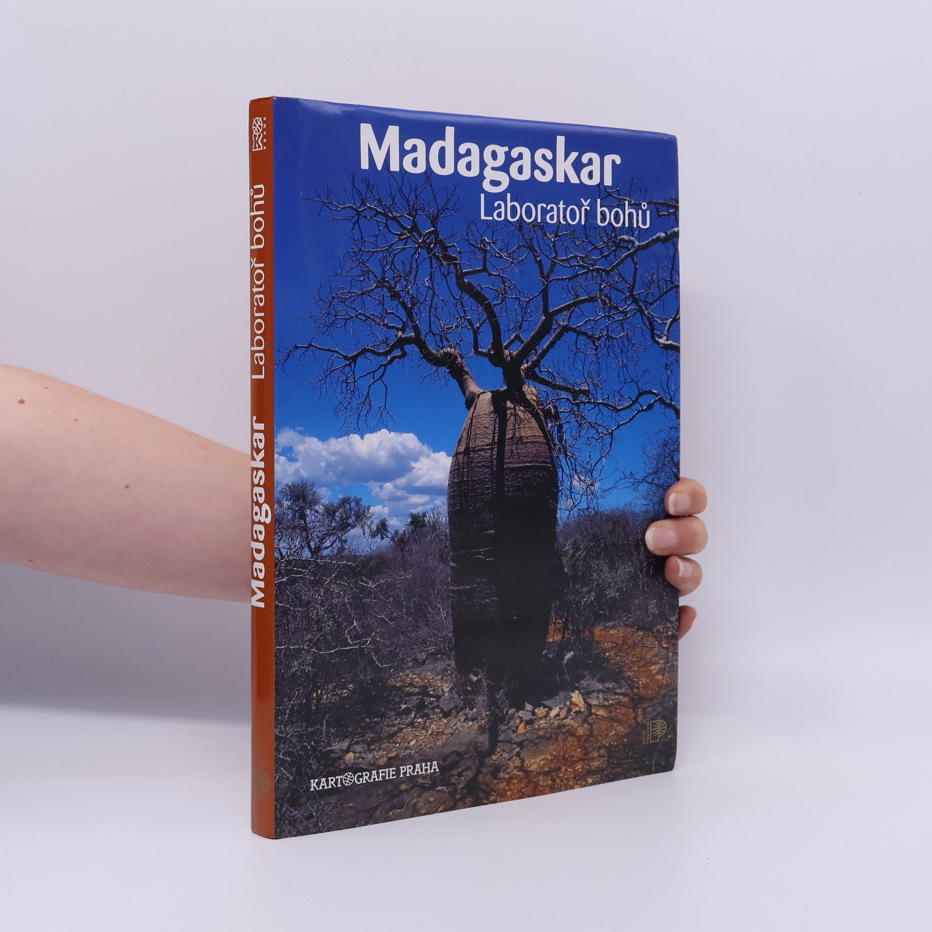 Růžena BeandapaKytlová Madagaskar : laboratoř bohů