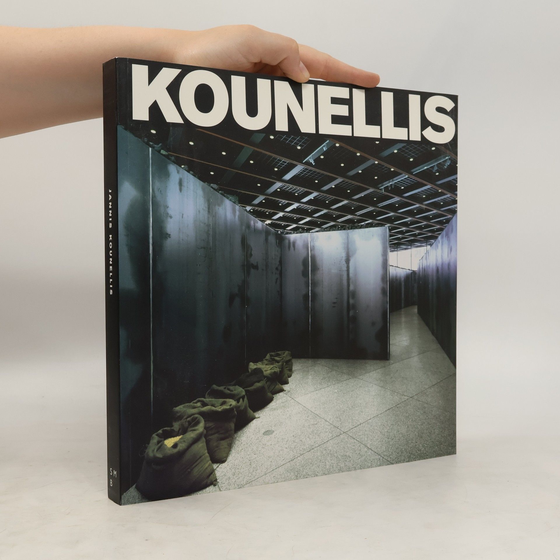Angela Schneider Kounellis