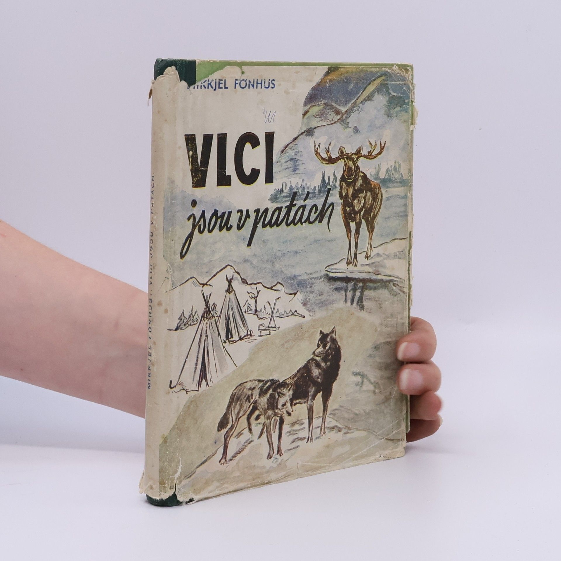 Mikkjel Fönhus Vlci jsou v patách