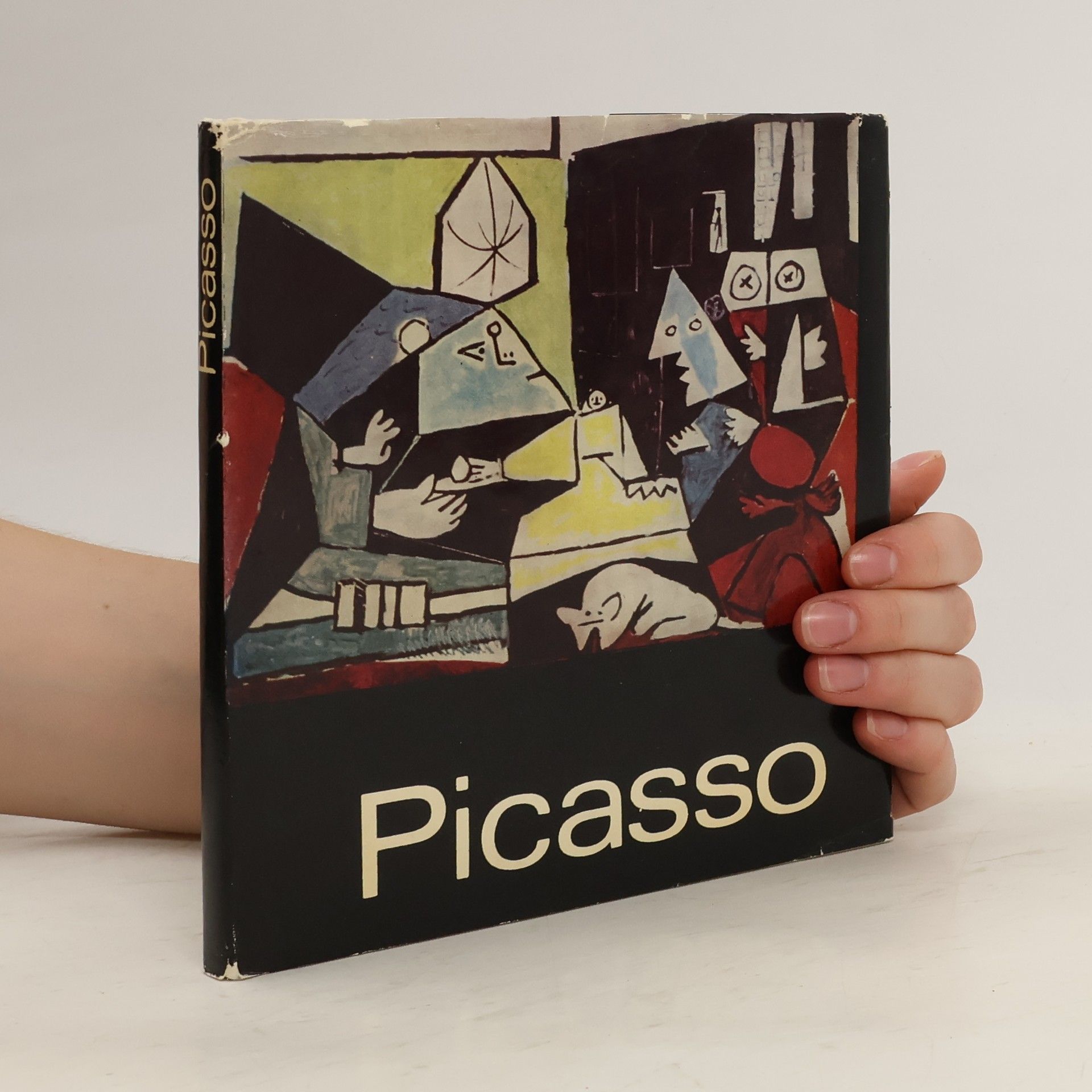 Eva Šefčáková Picasso