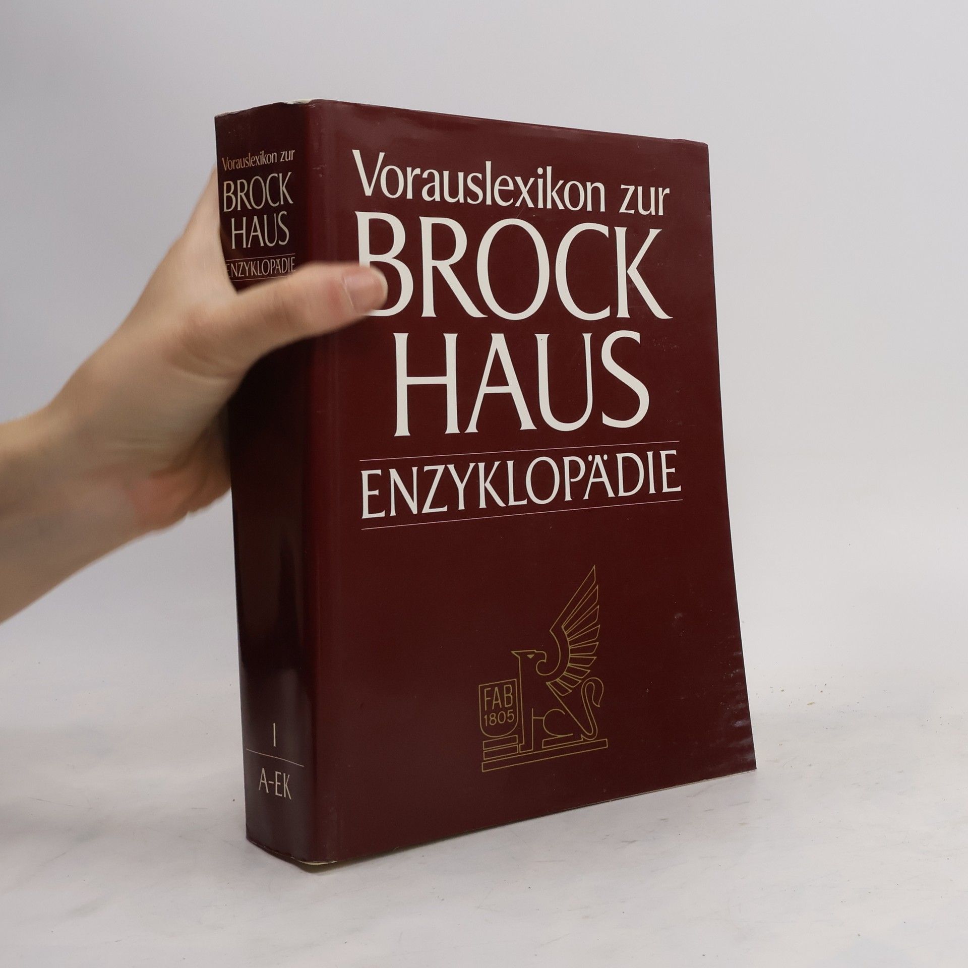 kolektiv Vorauslexikon zur Brockhaus Enzyklopädie: I A-EK