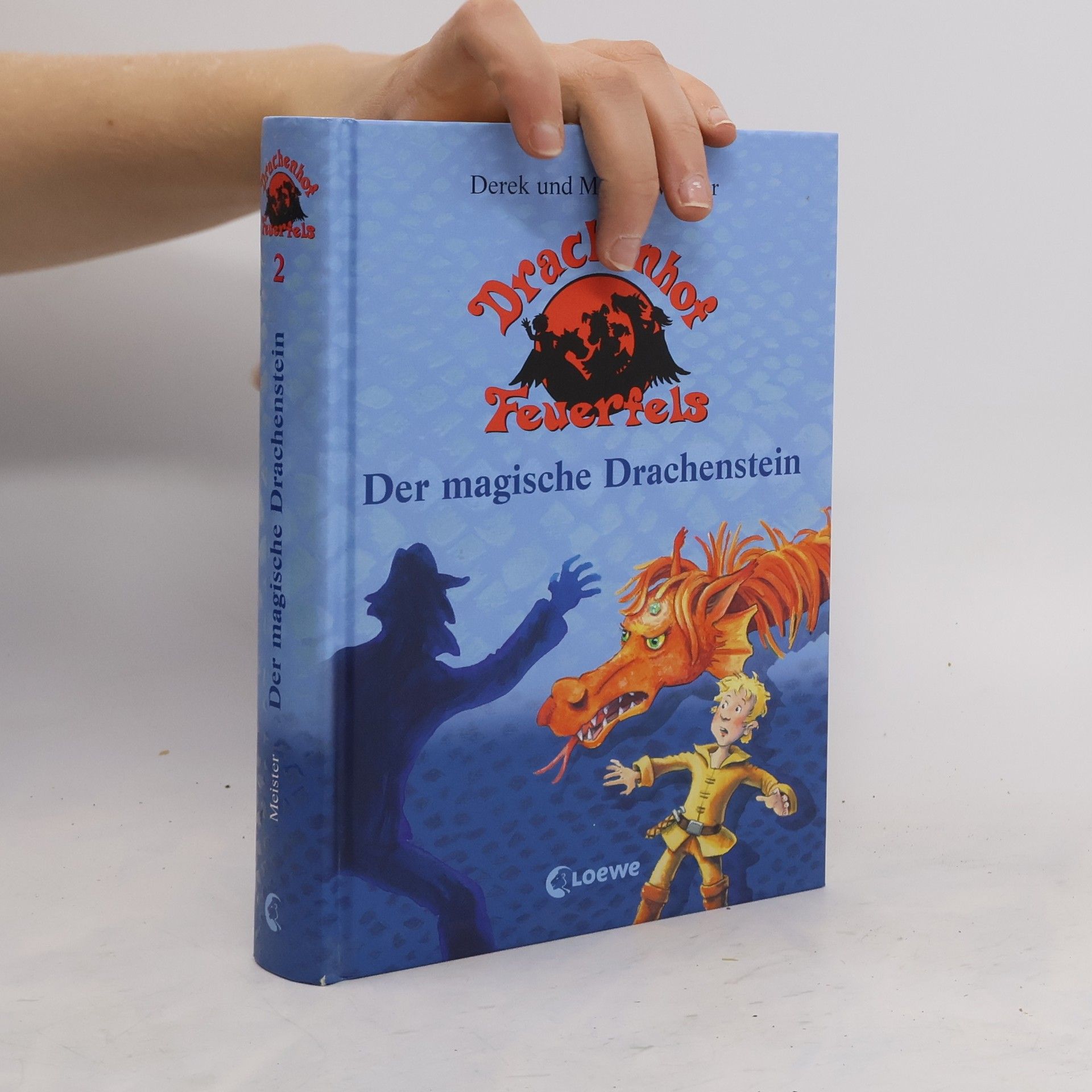 Derek Meister Der magische Drachenstein