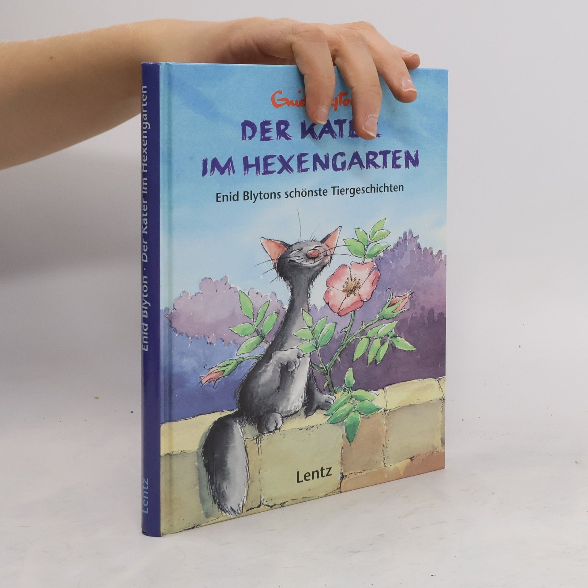 Enid Blyton Der Kater im Hexengarten