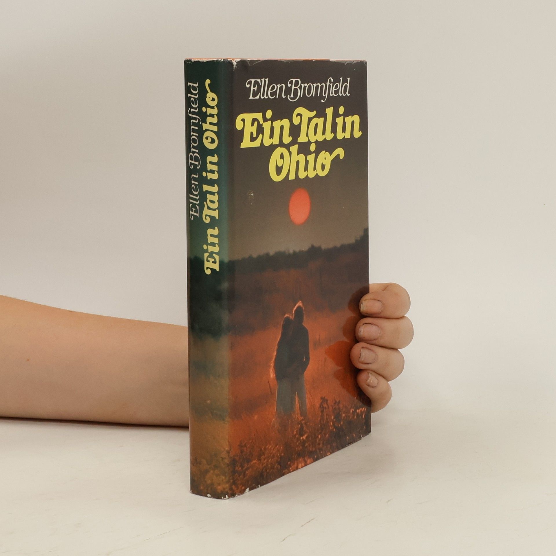 Ellen Bromfield Ein Tal in Ohio
