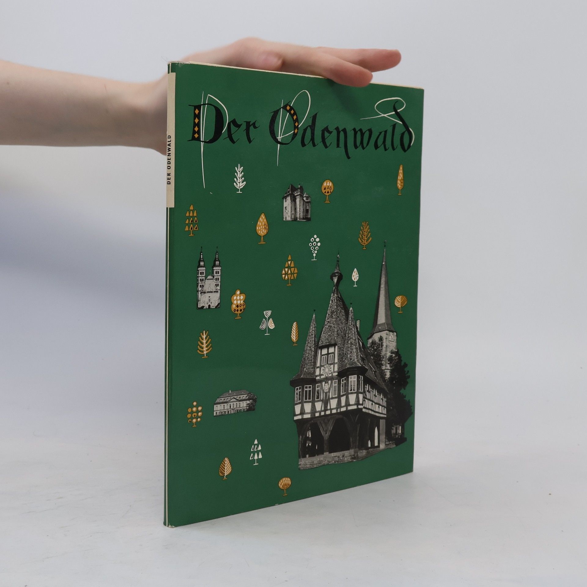 Collectif d'auteurs Der Odenwald