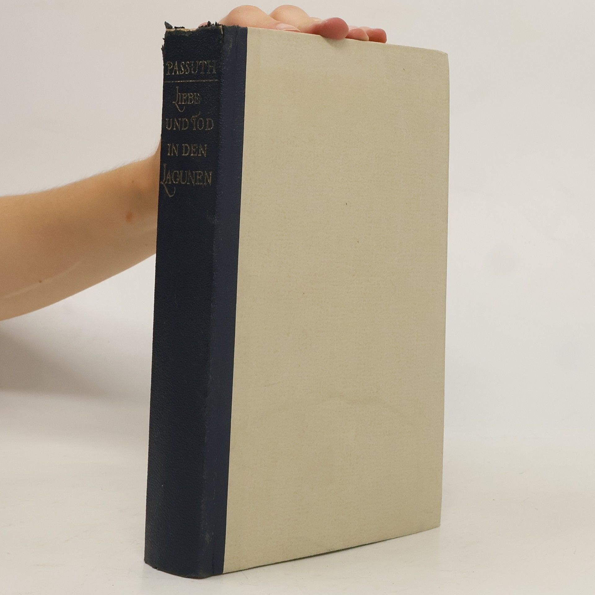 László Passuth Liebe und Tod in den Lagunen