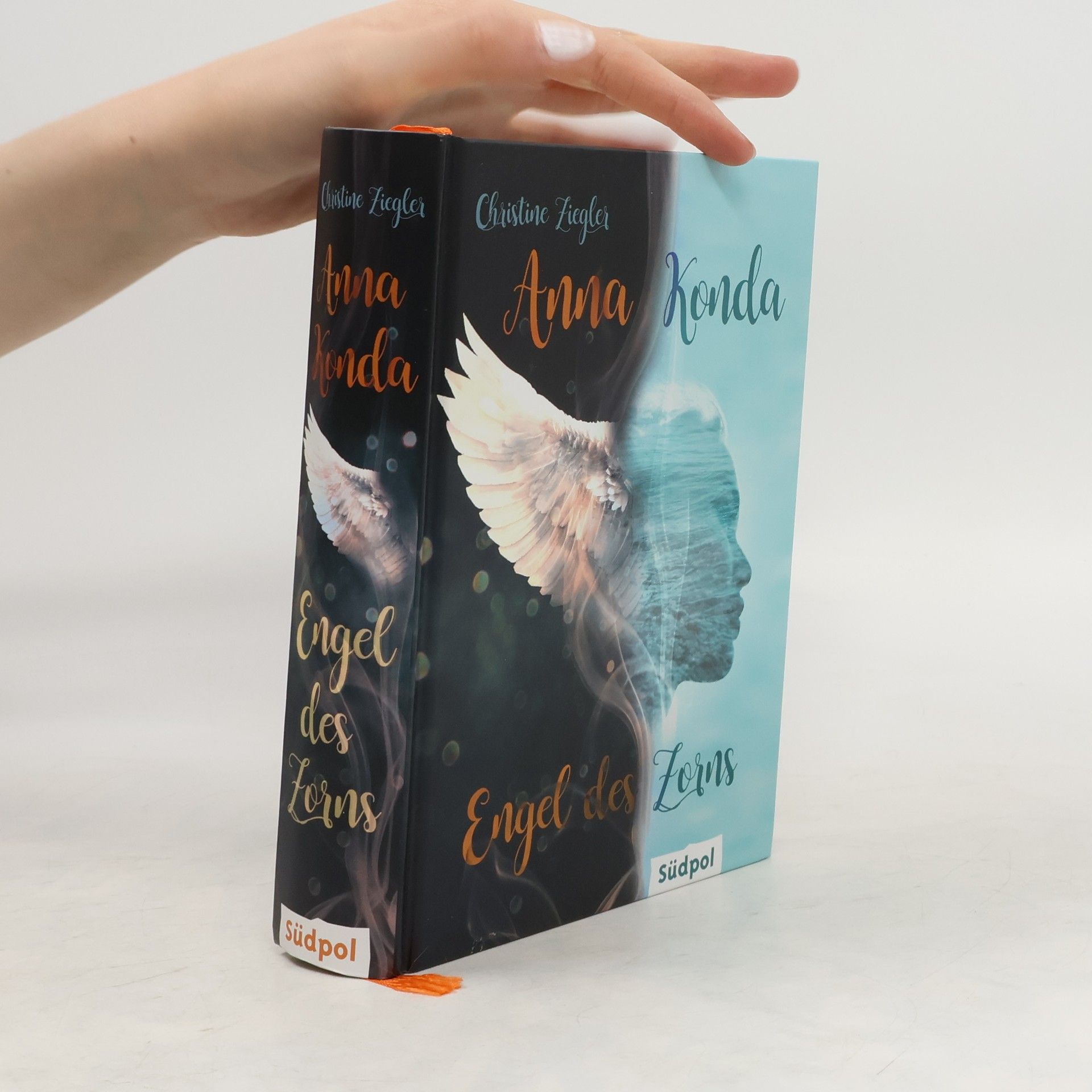 Christine Ziegler Anna Konda: Engel des Zorns