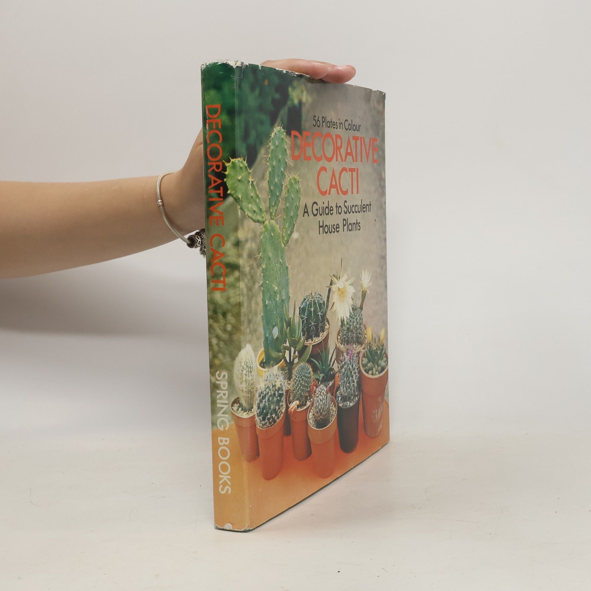 Rudolf Šubík Decorative Cacti
