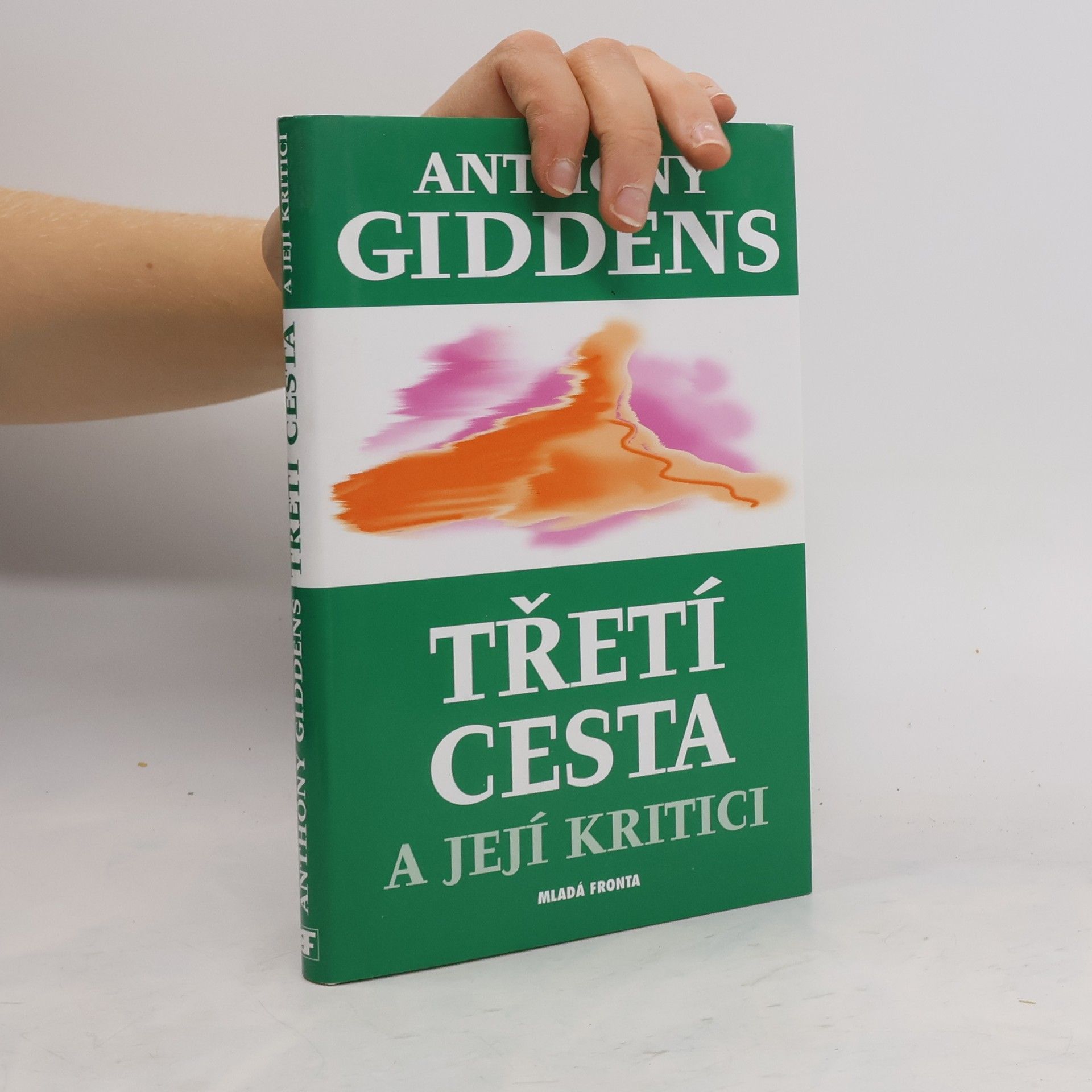Anthony Giddens Třetí cesta a její kritici