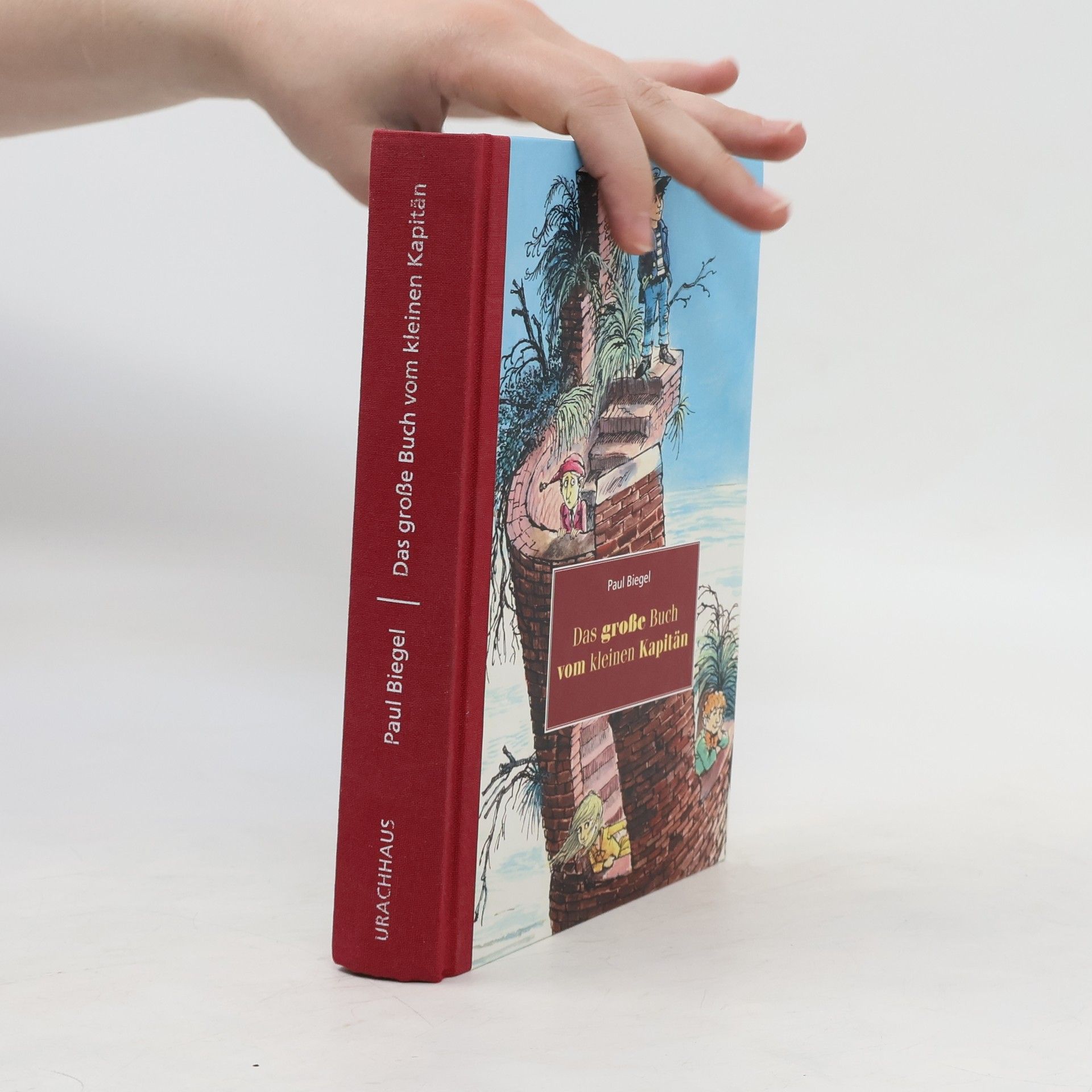 Paul Biegel Das grosse Buch vom kleinen Kapitän
