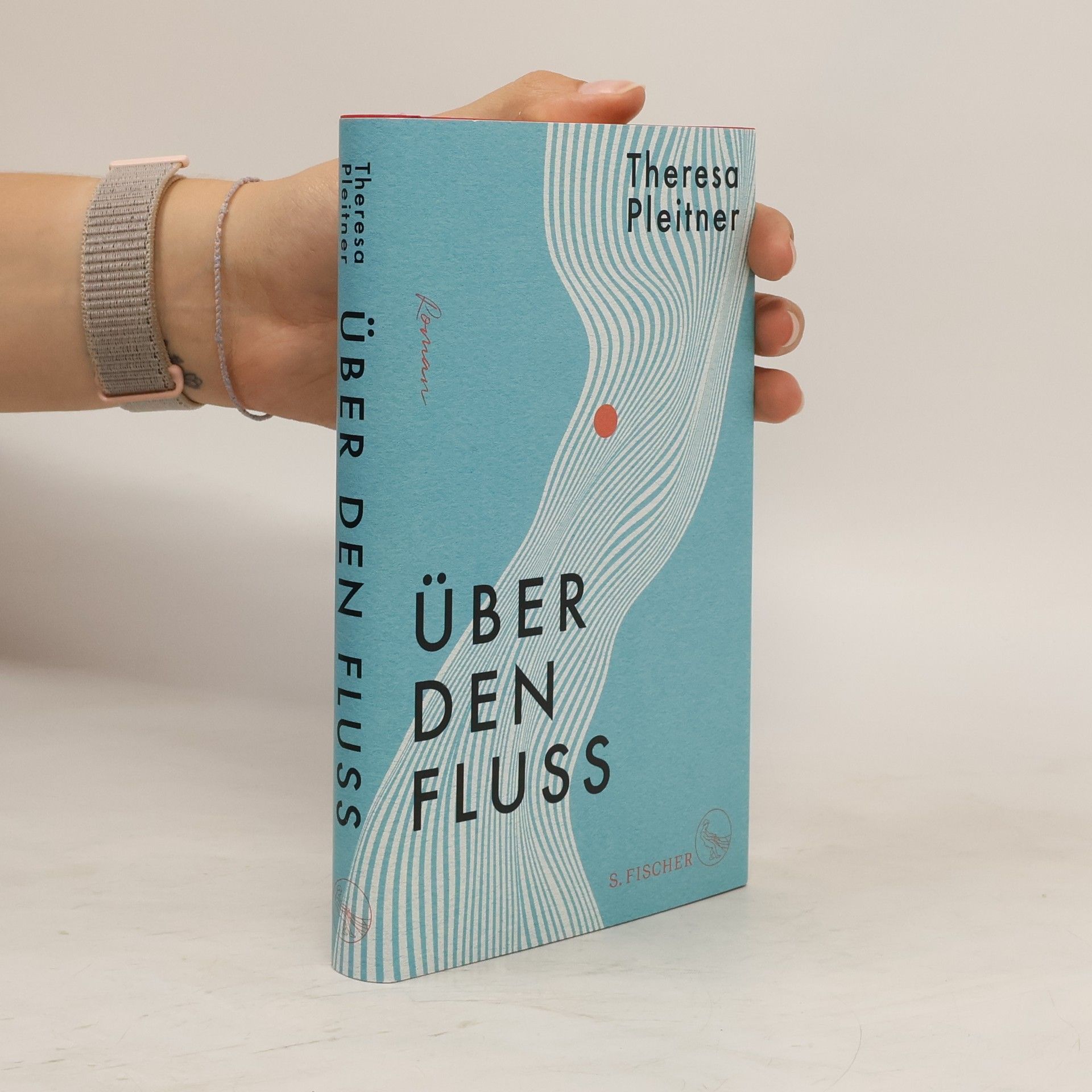 Theresa Pleitner Über den Fluss