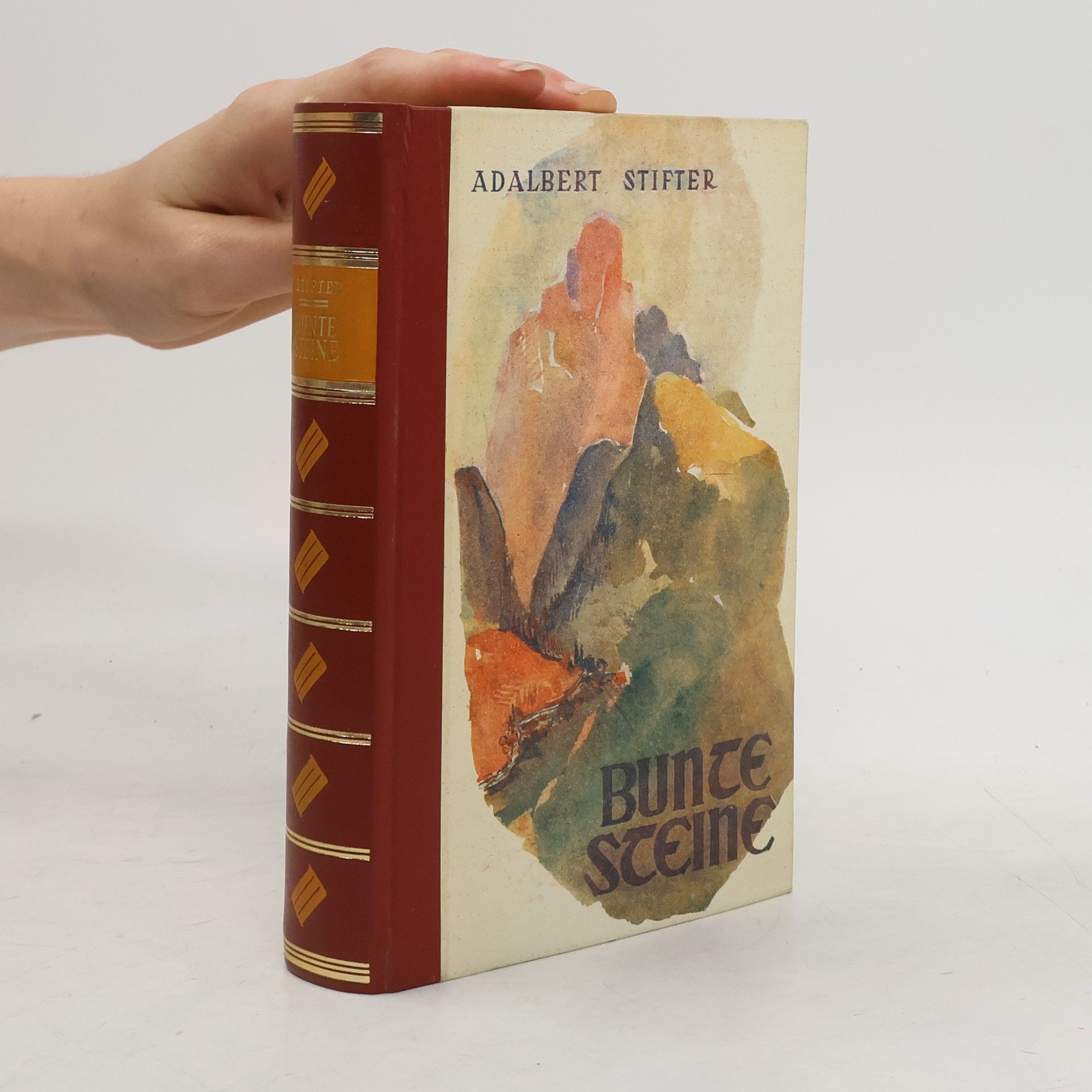 Adalbert Stifter Bunte Steine