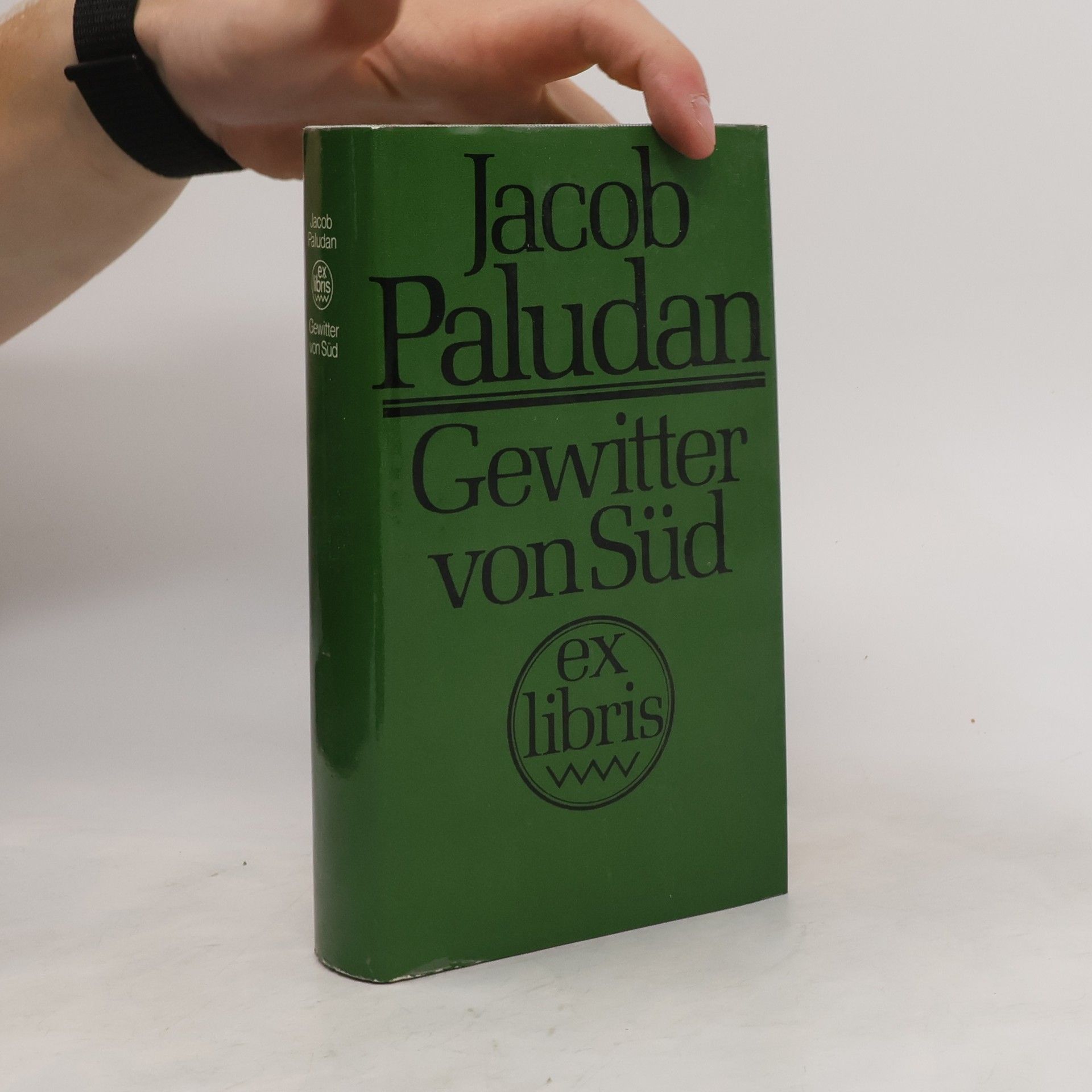 Jacob Paludan Gewitter von Süd