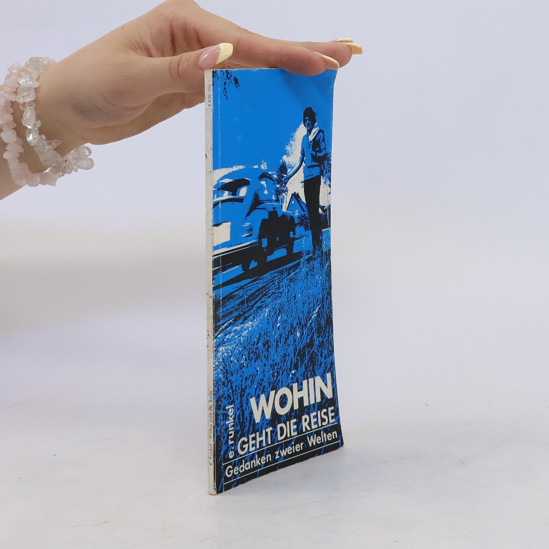 Ernst Runkel Wohin geht die Reise?