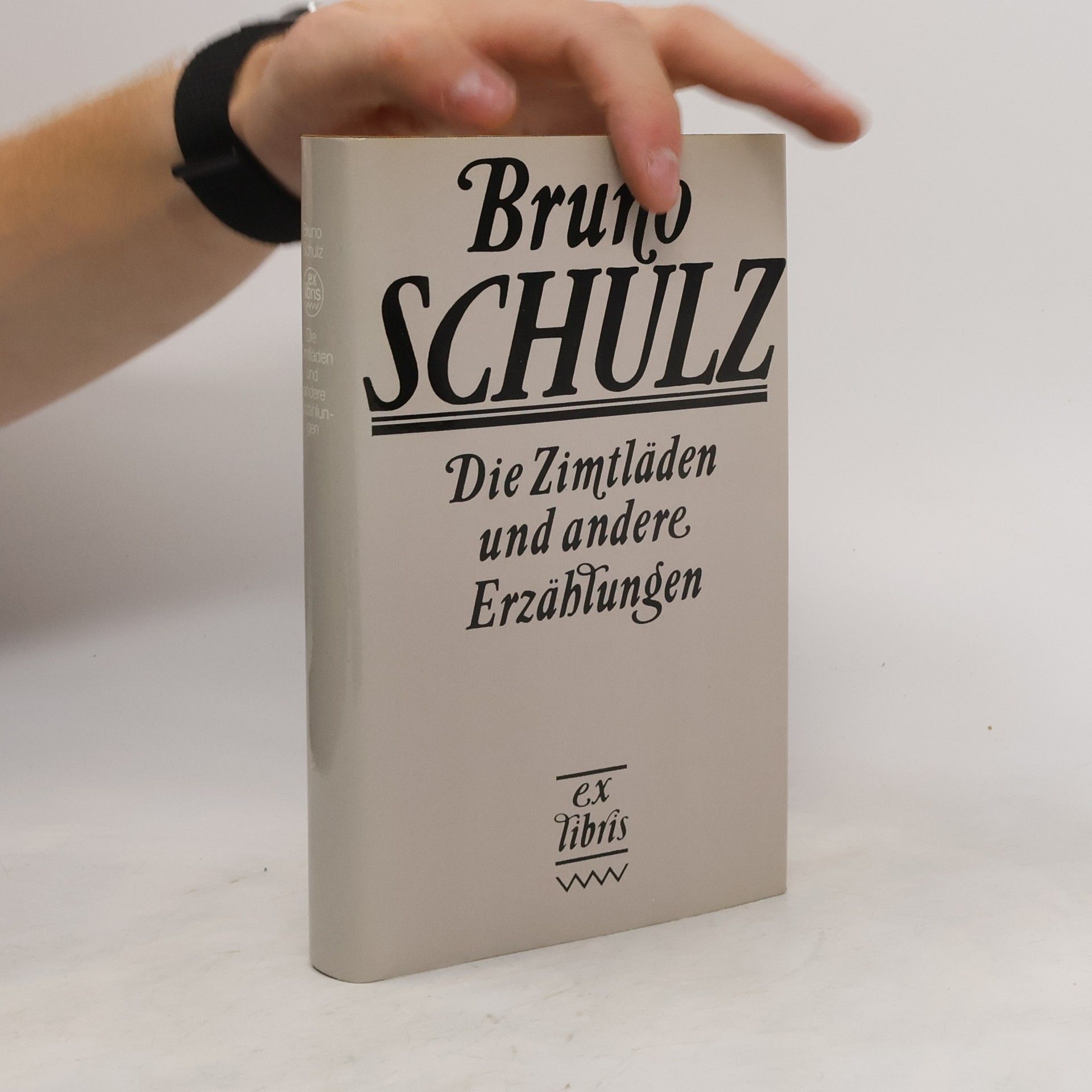 Bruno Schulz Die Zimtläden und andere Erzählungen