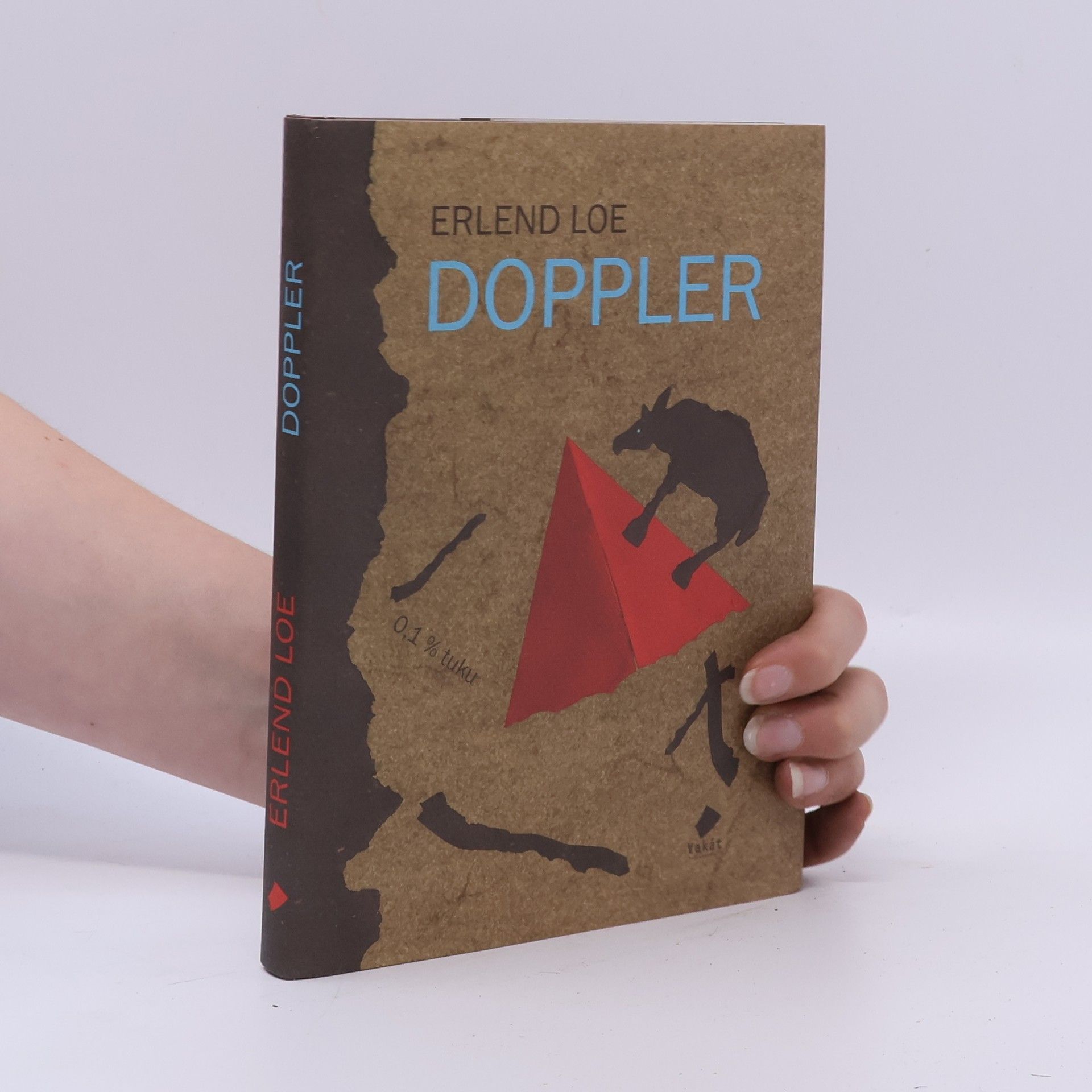 Erlend Loe Doppler
