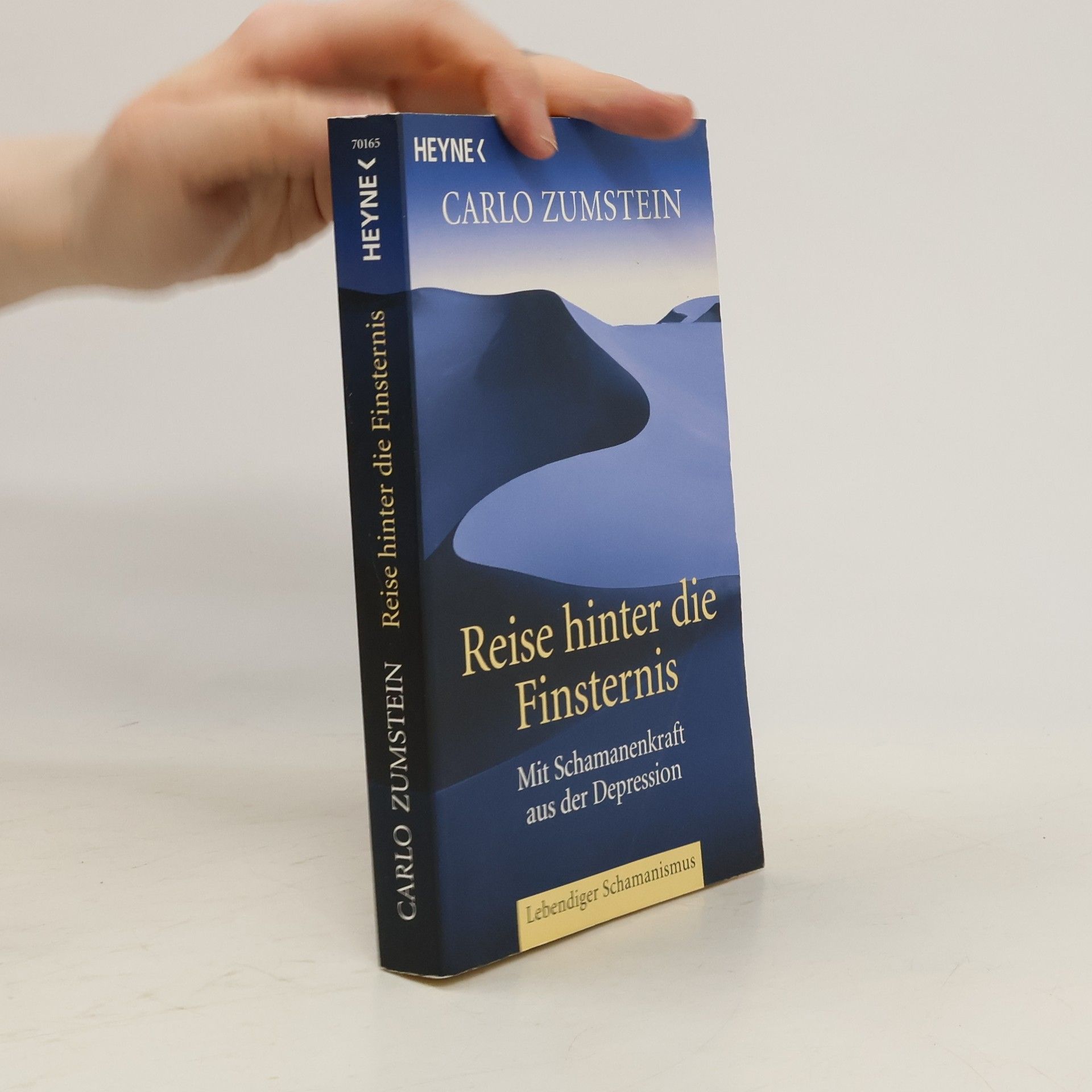 Carlo Zumstein Reise hinter die Finsternis