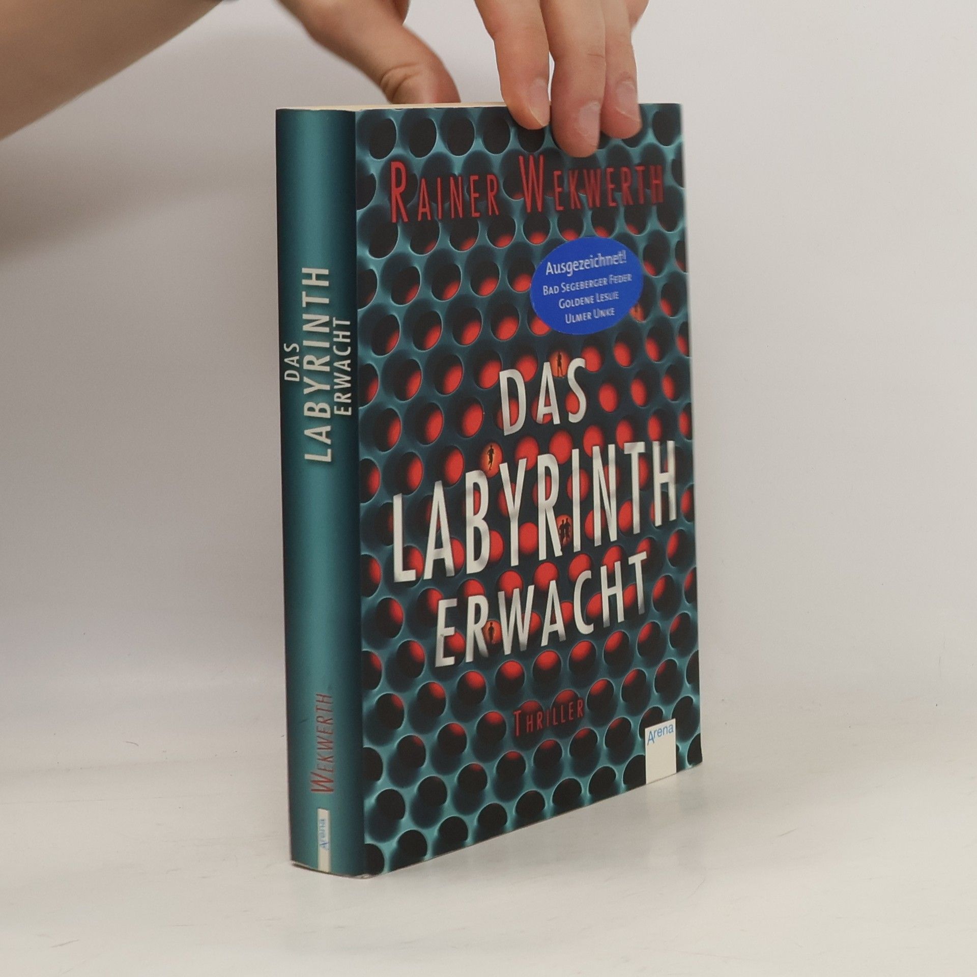 Rainer Wekwerth Das Labyrinth erwacht