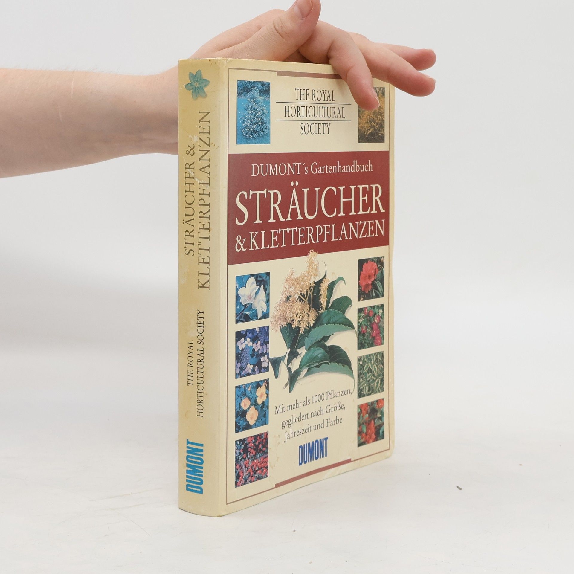 Harda Kuwer Sträucher und Kletterpflanzen