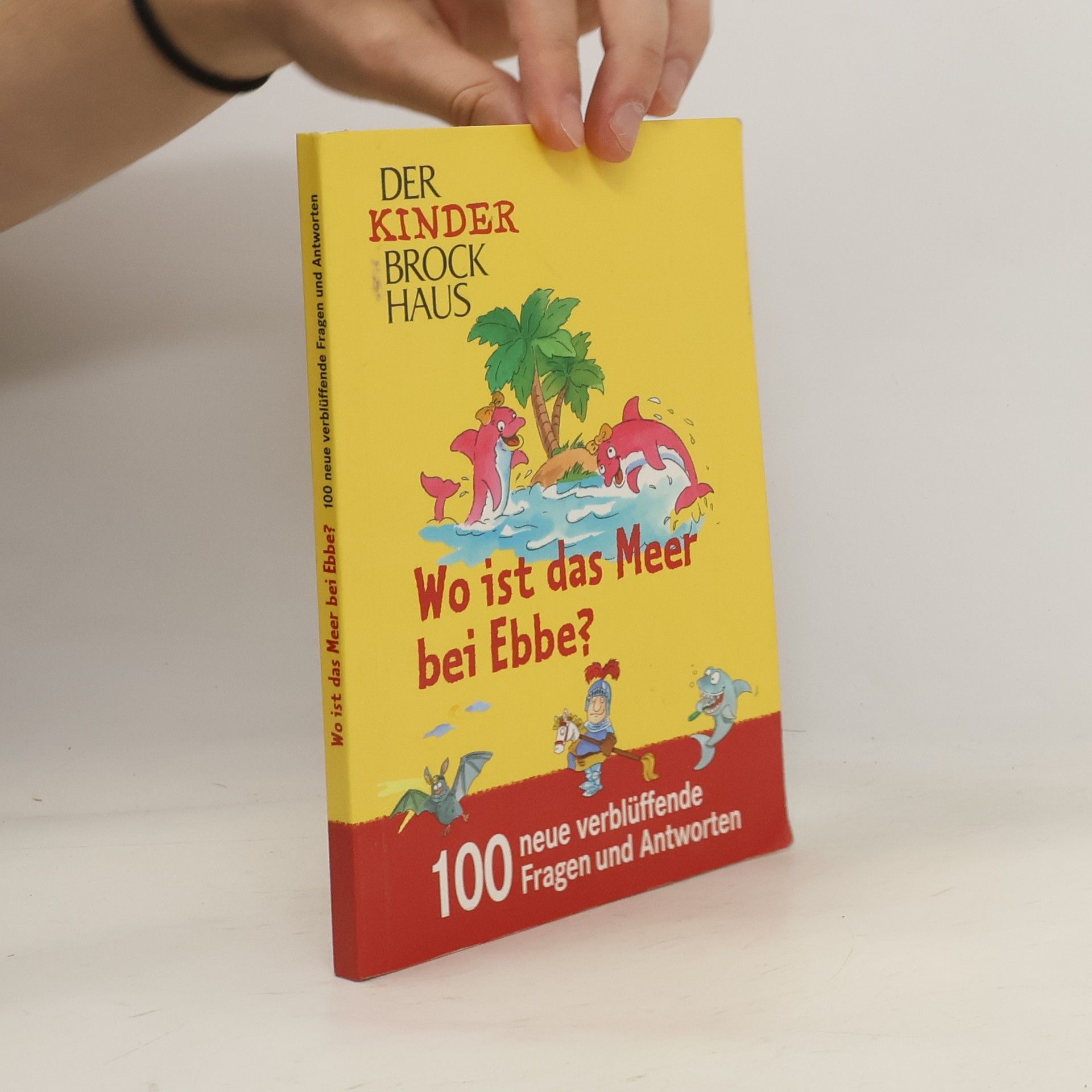 Autorenkollektiv Wo ist das Meer bei Ebbe?