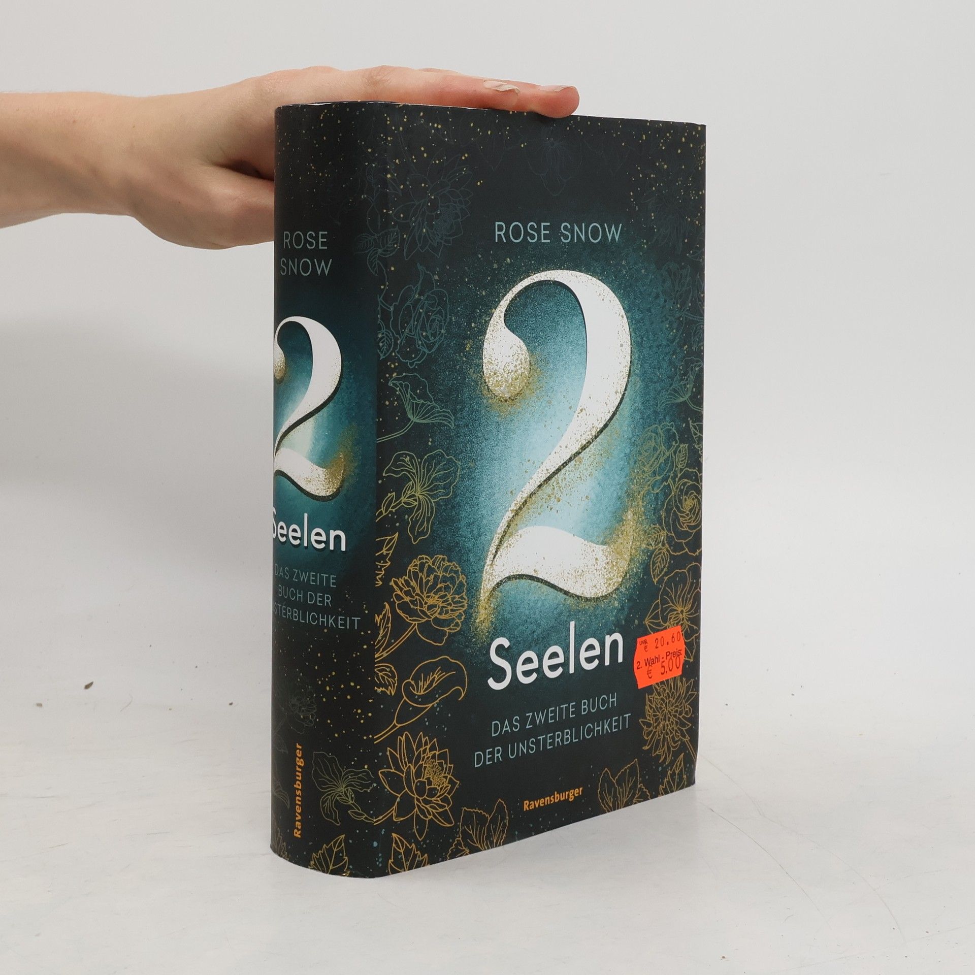 Rosie Snow 2 Seelen. Das zweite Buch der Unsterblichkeit / Bücher der Unsterblichkeit Bd.2