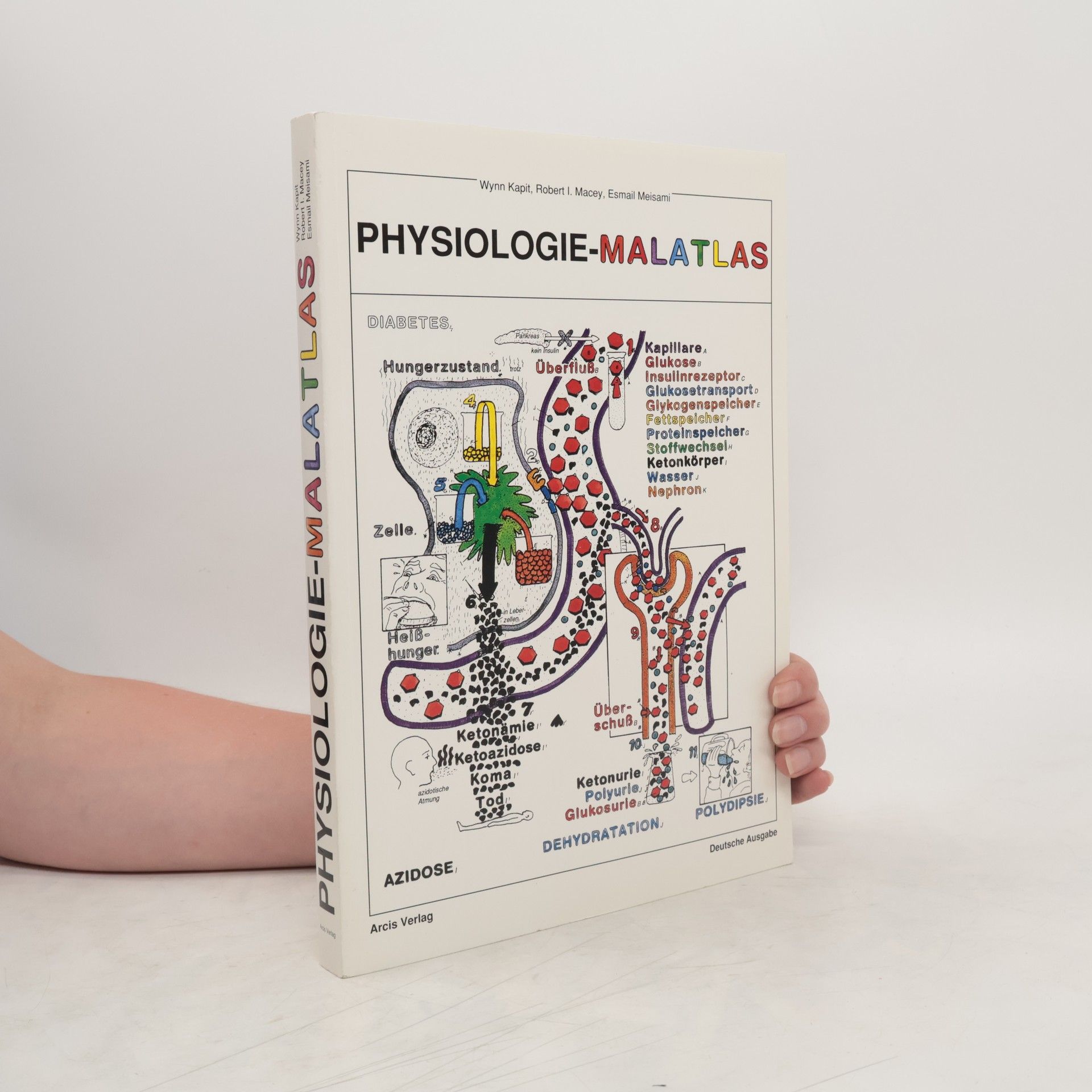 Wynn Kapit Physiologie-Malatlas