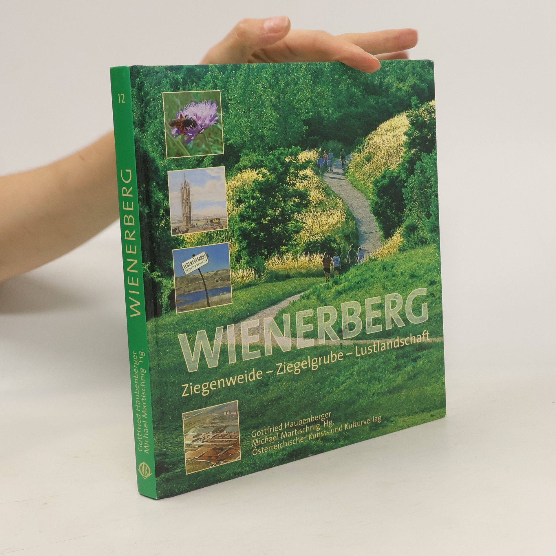 Gottfried Haubenberger Vom Wienerberg