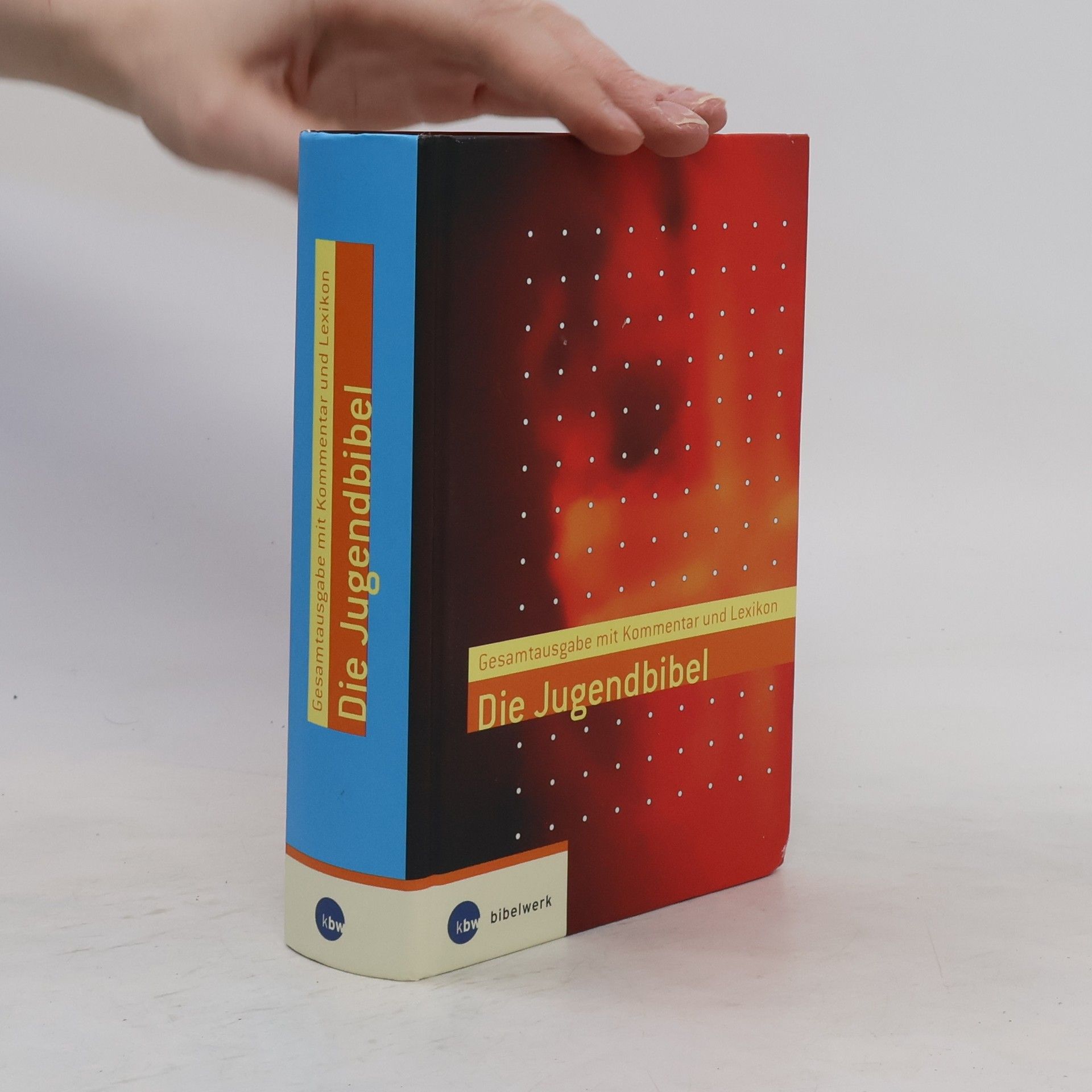 Rainer Dillmann Die Jugendbibel