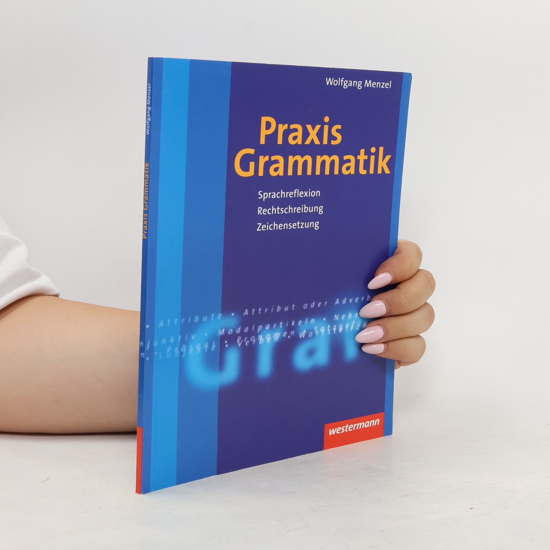 Wolfgang W. Menzel Praxis Grammatik