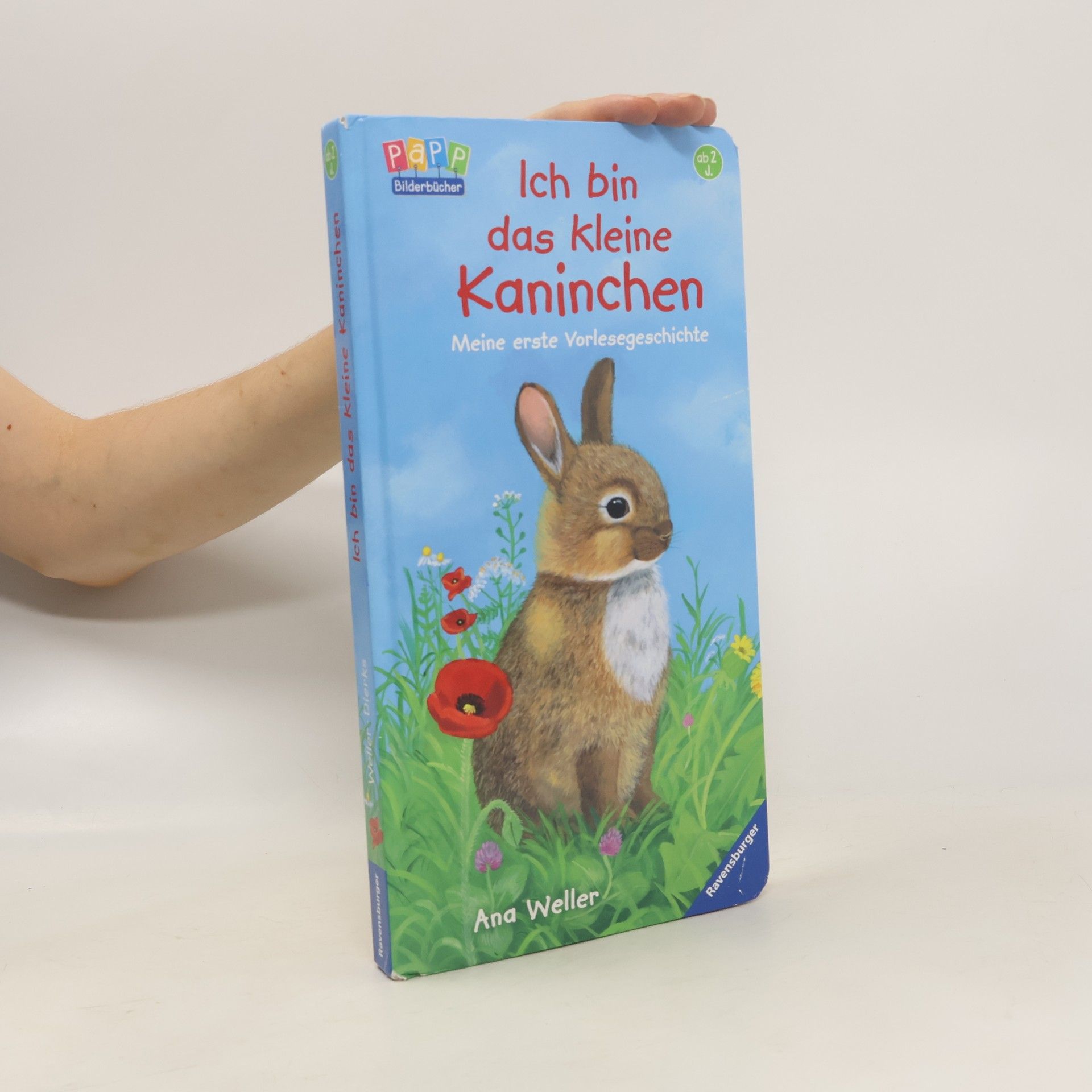 Ana Weller Ich bin das kleine Kaninchen